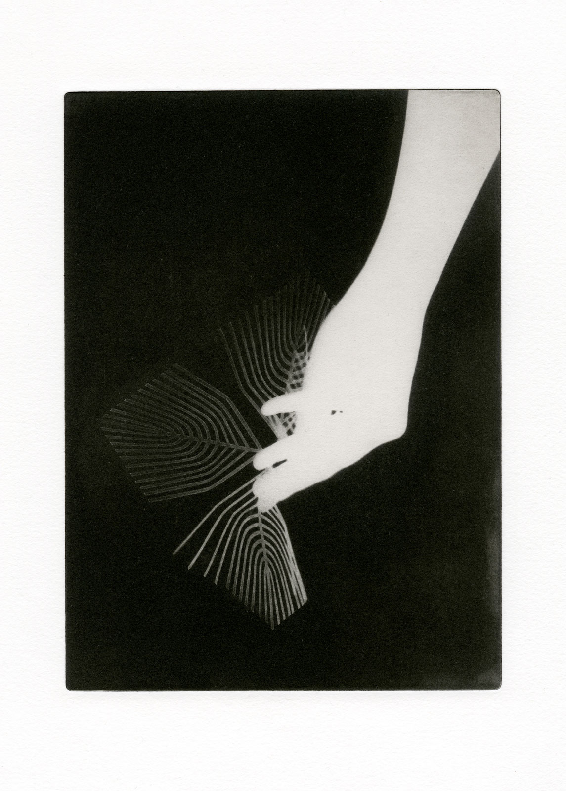 Charlotte Bakkenes balances classicism with the cutting-edge