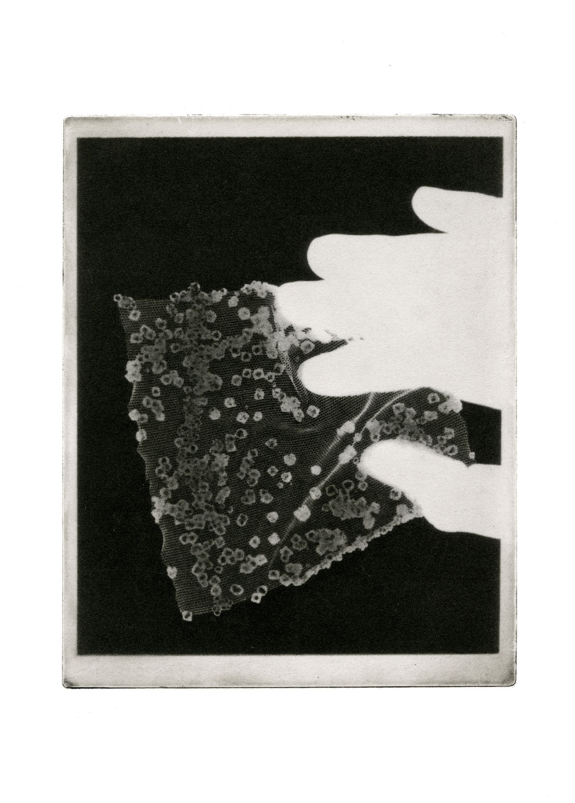 Charlotte Bakkenes balances classicism with the cutting-edge