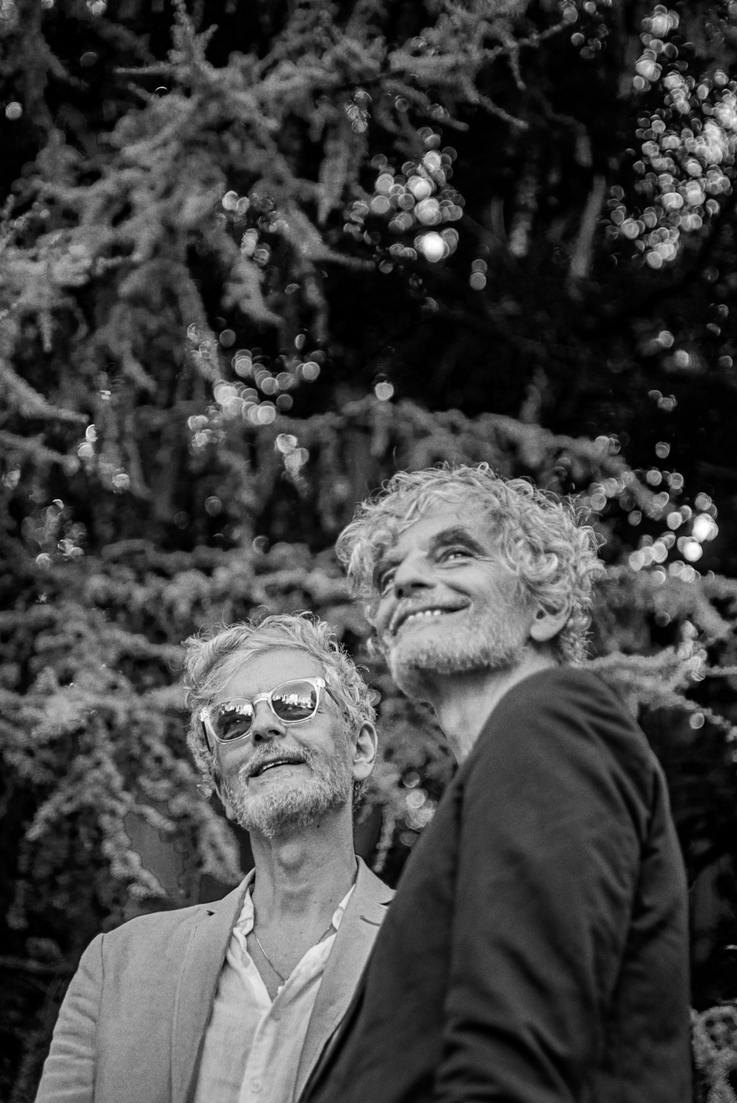 Blonde Redhead’s fruitful family reunion