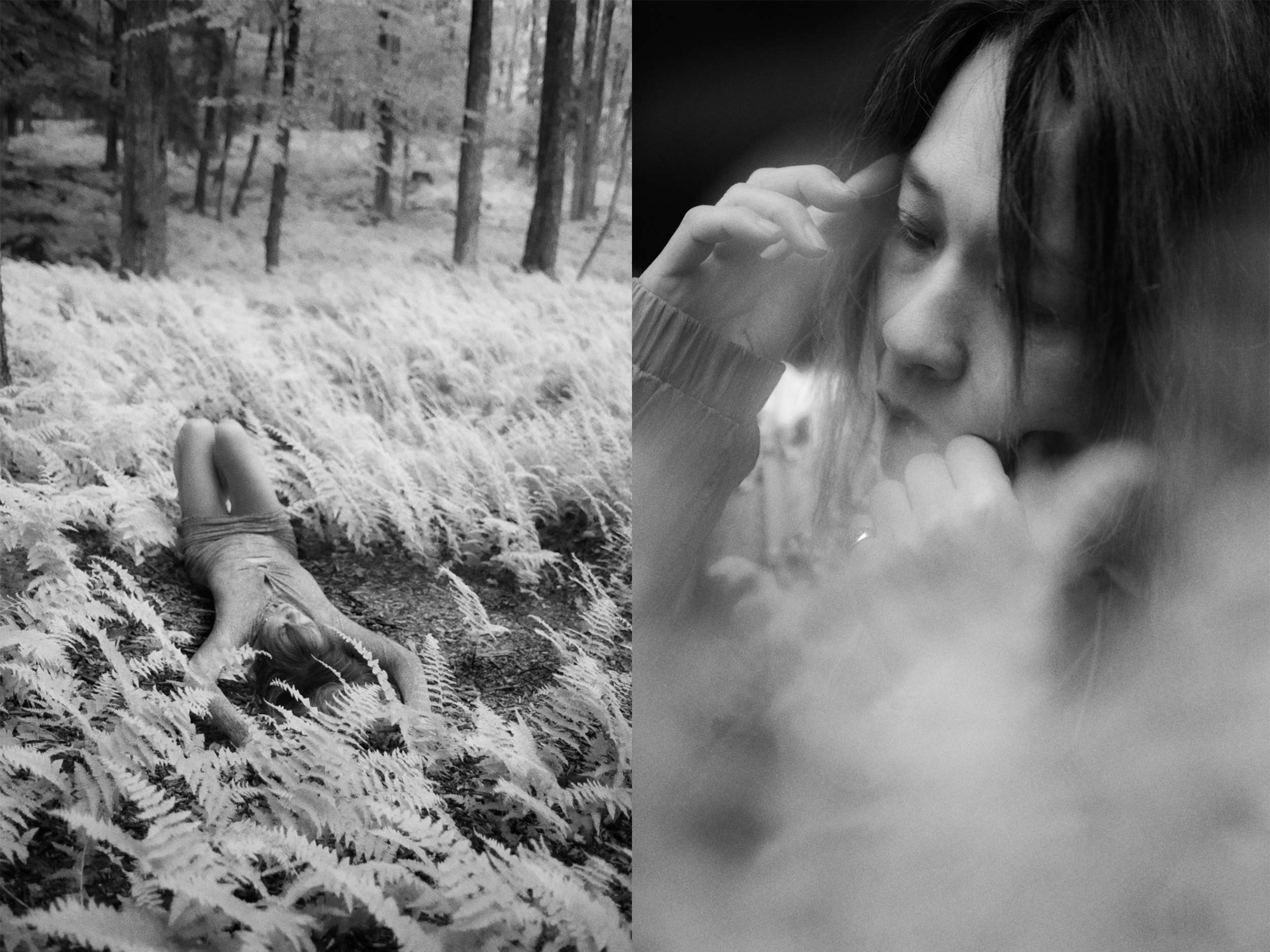 Blonde Redhead’s fruitful family reunion