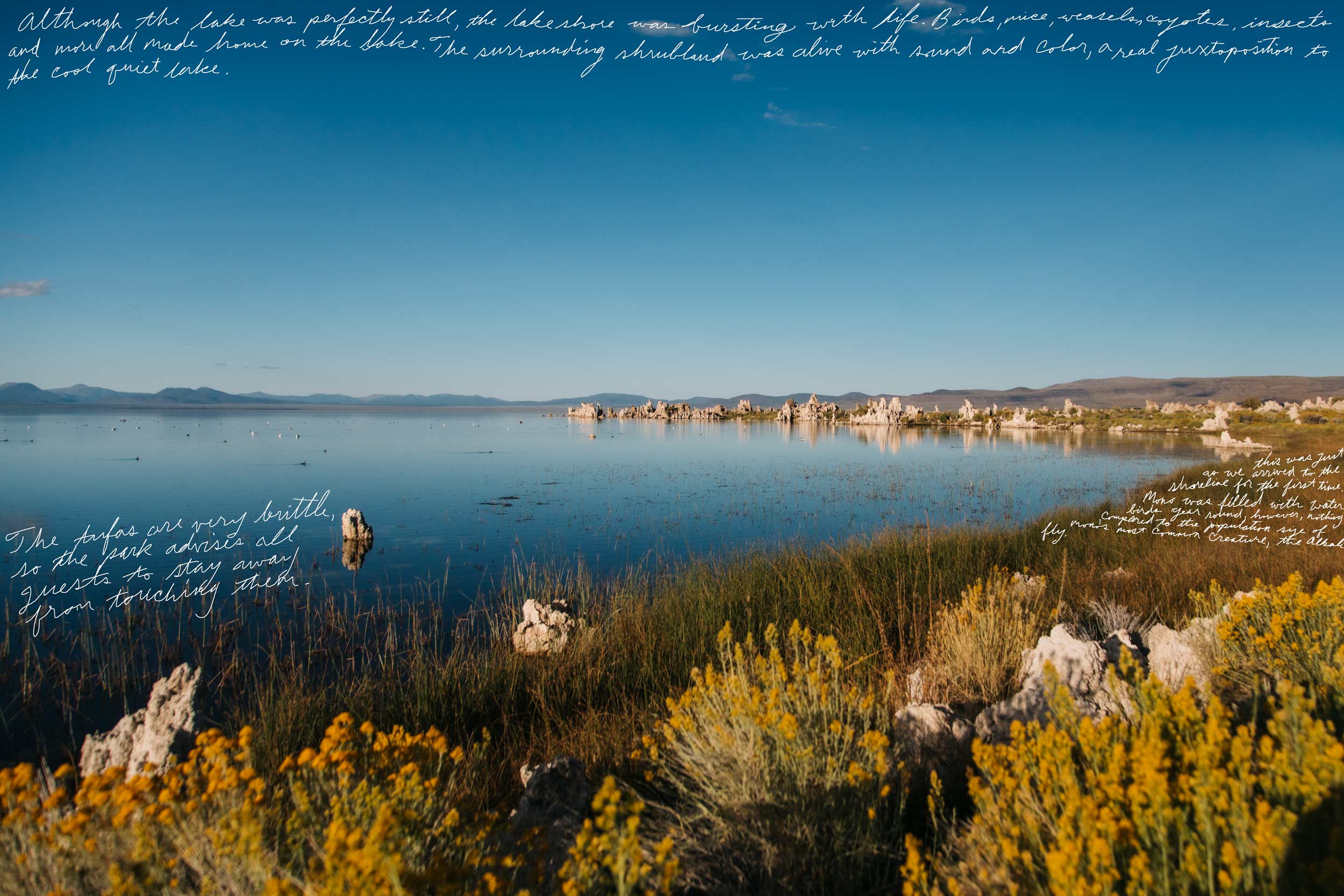 Cherokee Jack takes to Mono Lake for contemplative adventure