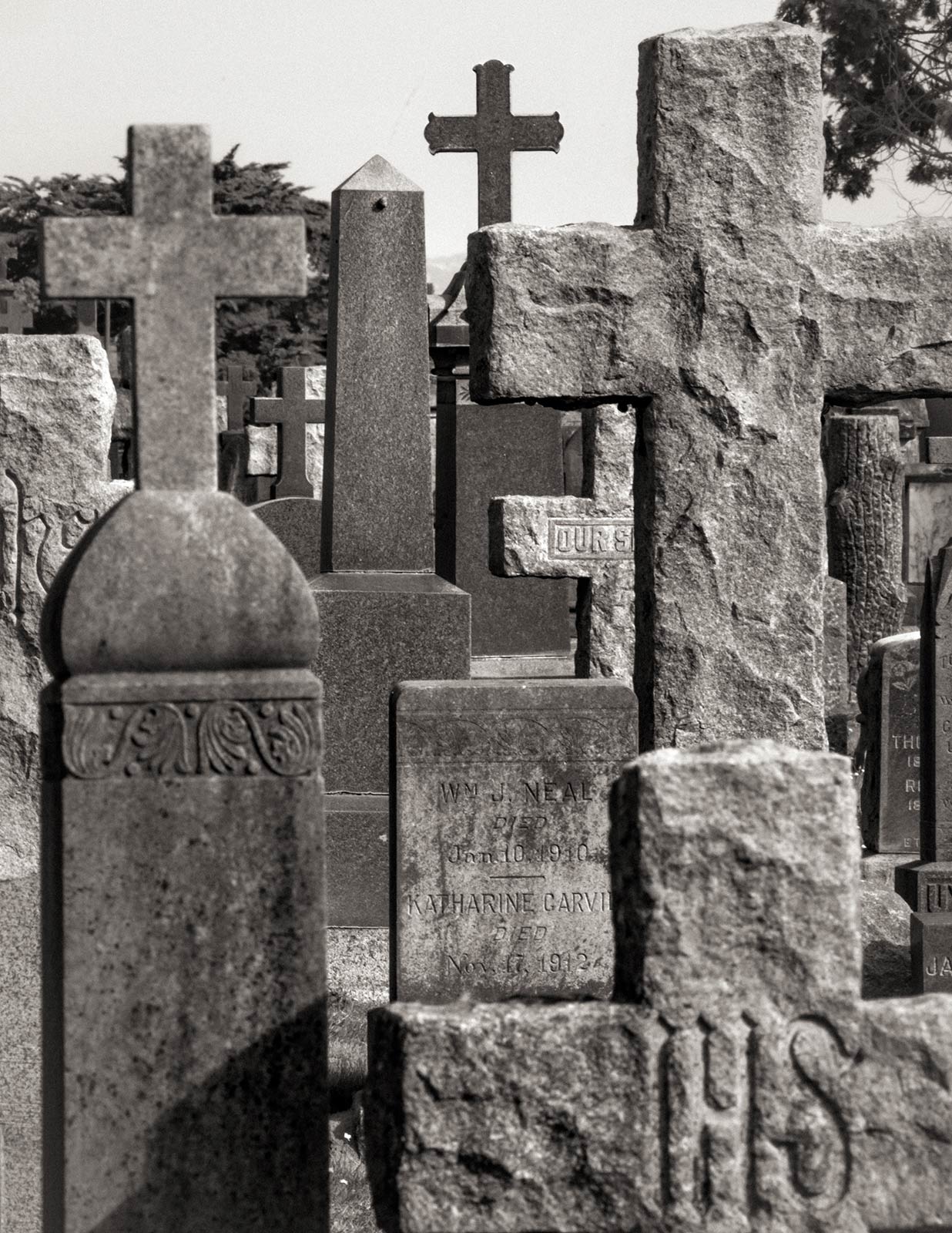 Living among the City of the Dead in Colma, California