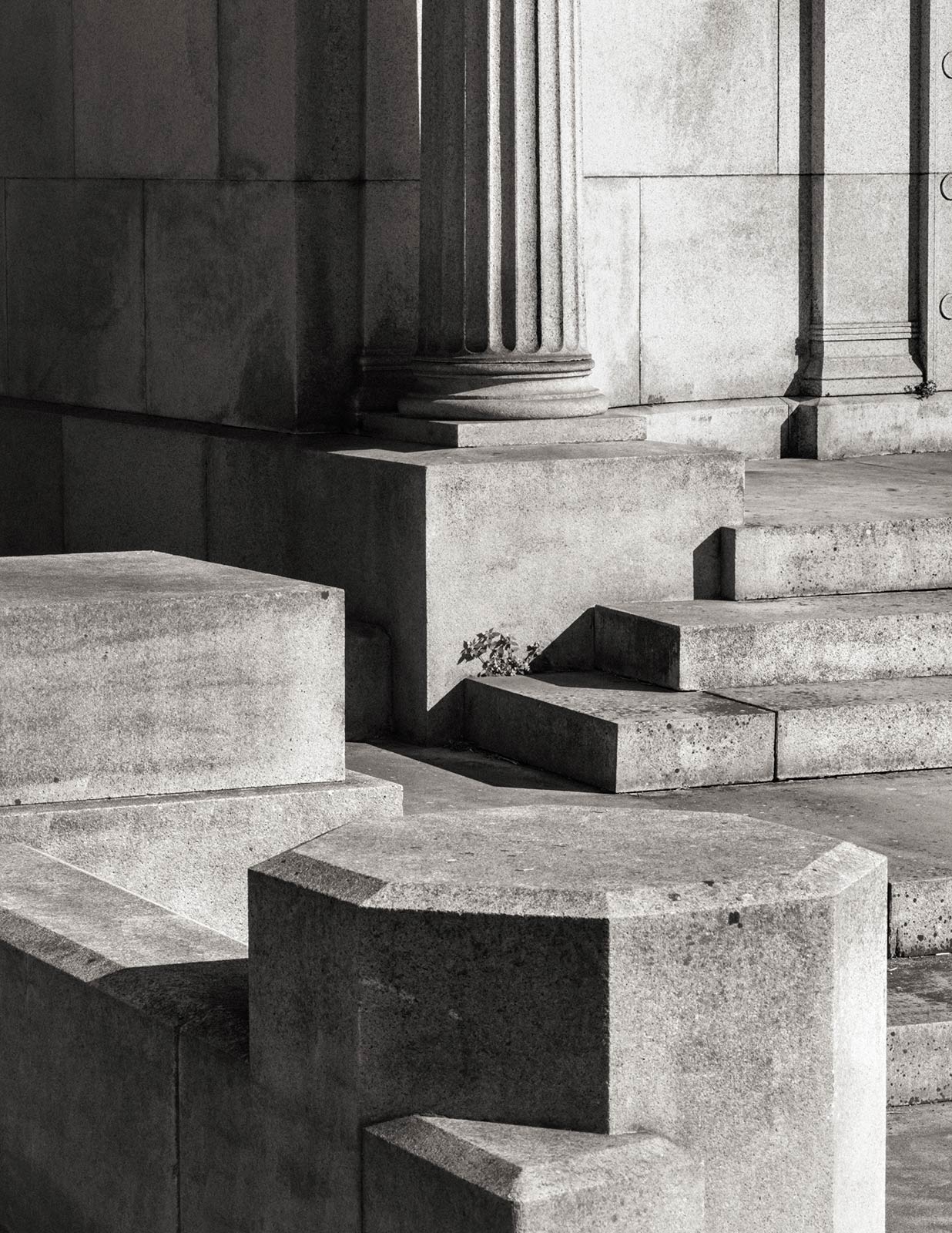 Living among the City of the Dead in Colma, California