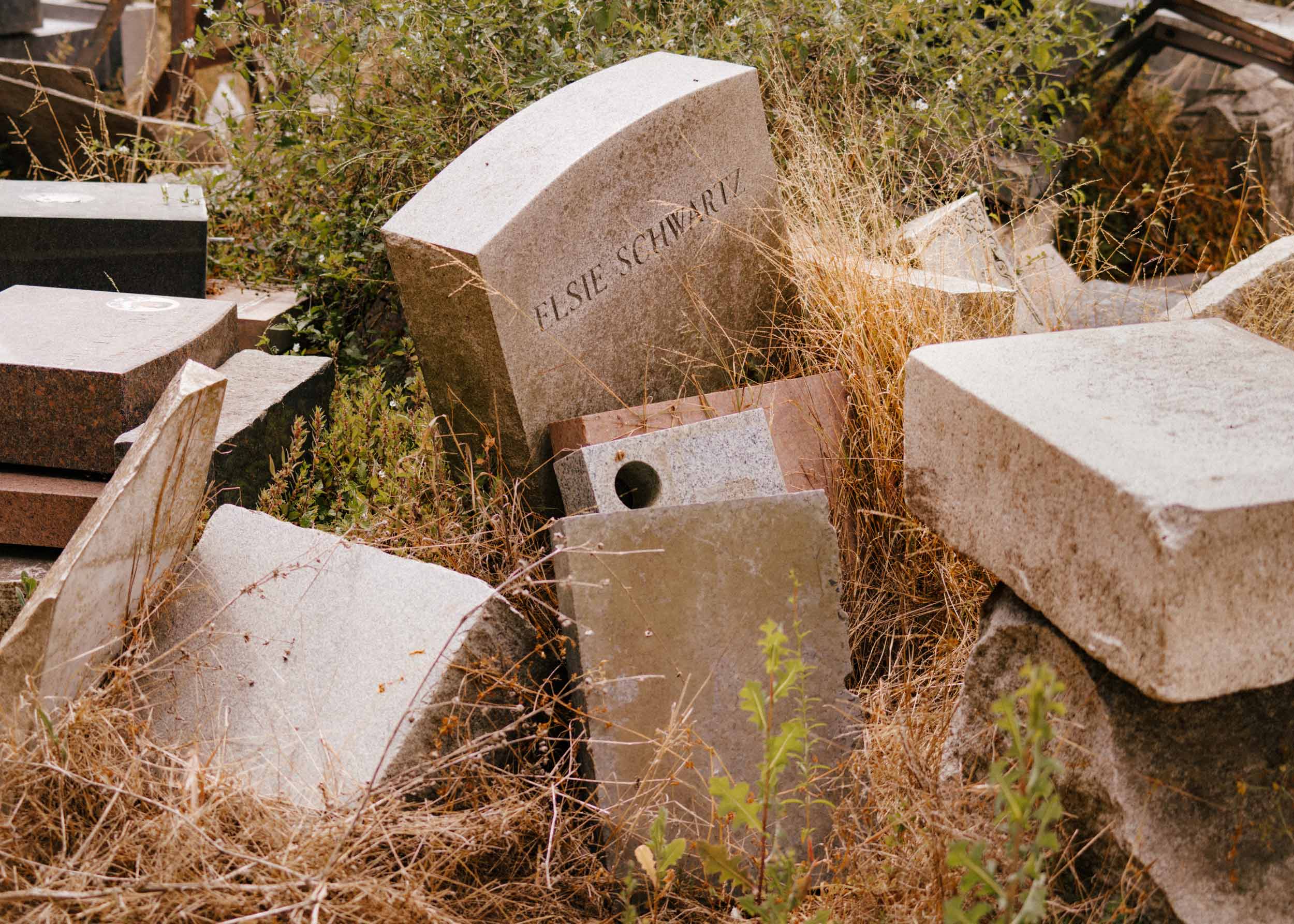 Living among the City of the Dead in Colma, California
