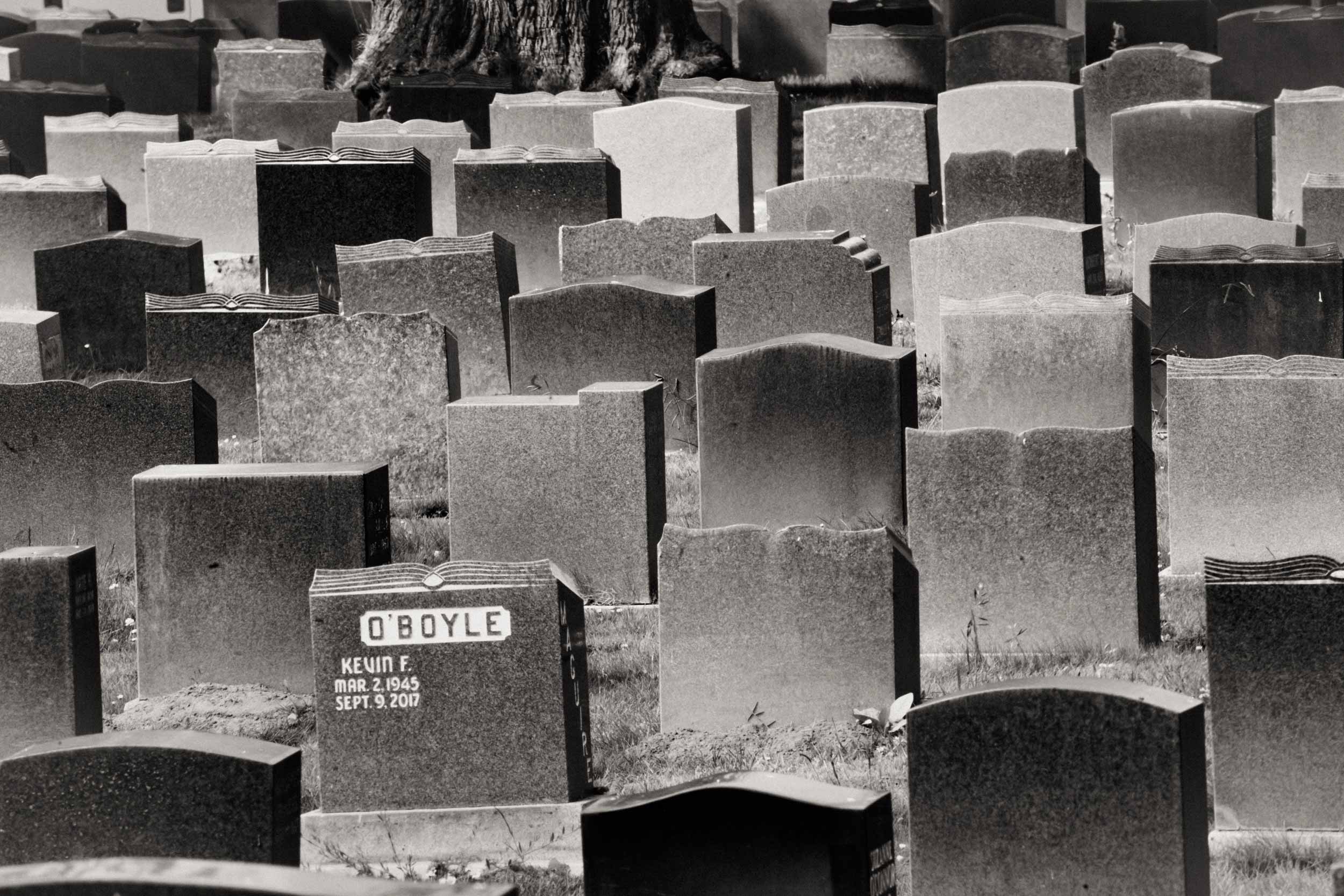 Living among the City of the Dead in Colma, California