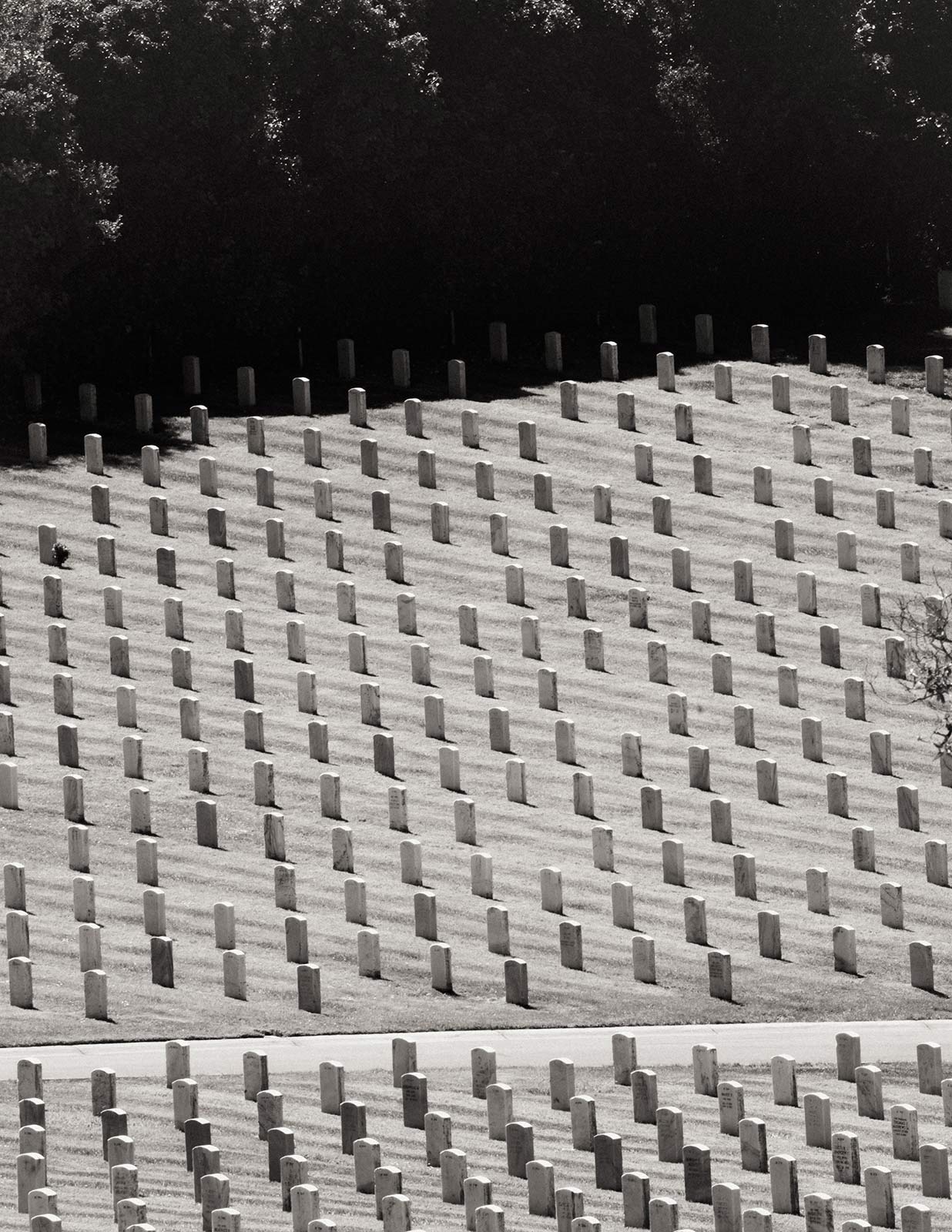 Living among the City of the Dead in Colma, California