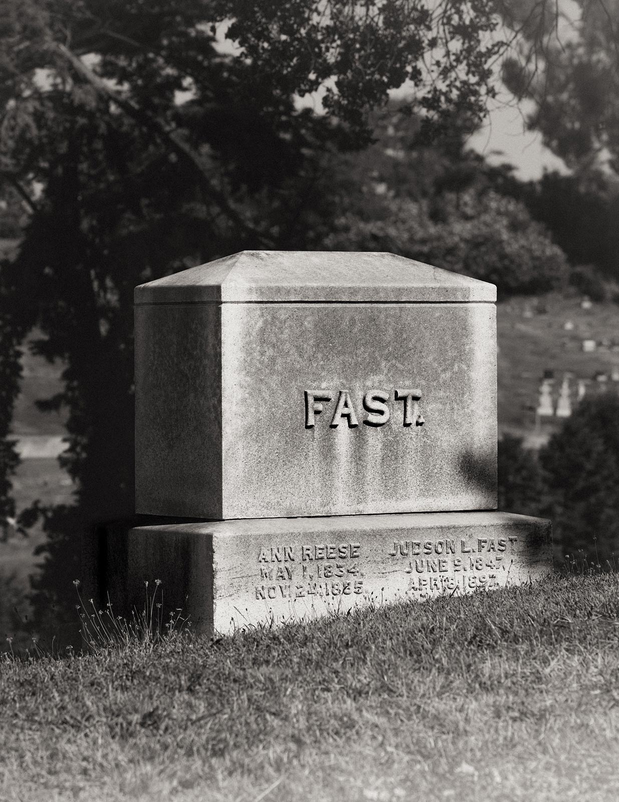 Living among the City of the Dead in Colma, California