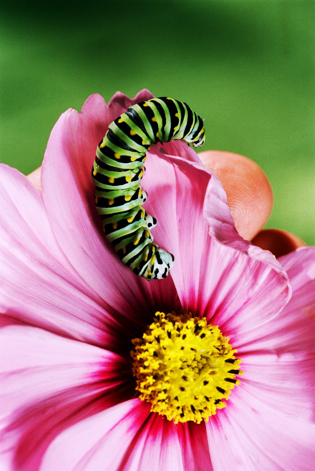 Bobby Doherty equates the mundane with the remarkable