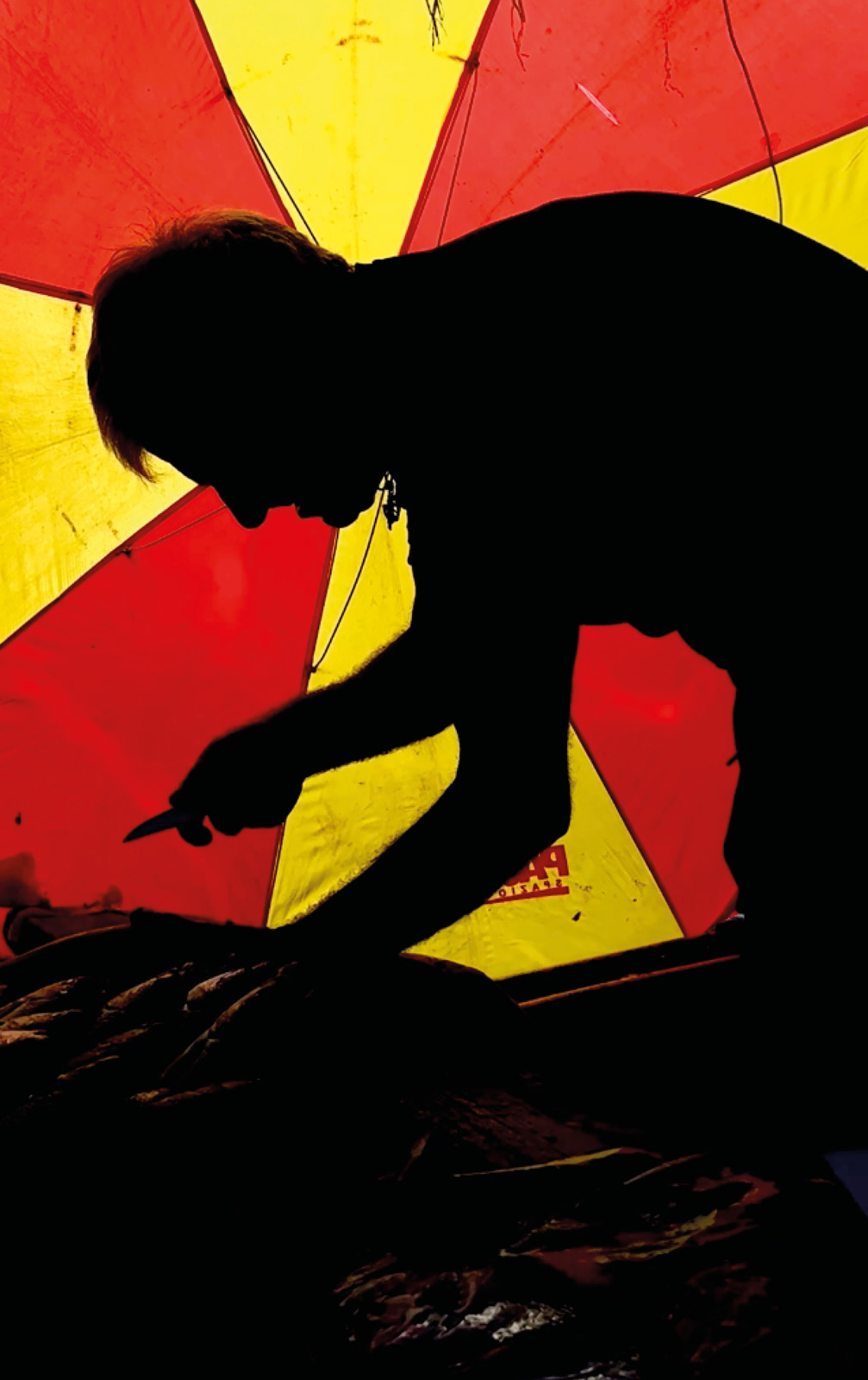 Sam Youkilis’s ‘Somewhere’ charts the strangeness of the everyday