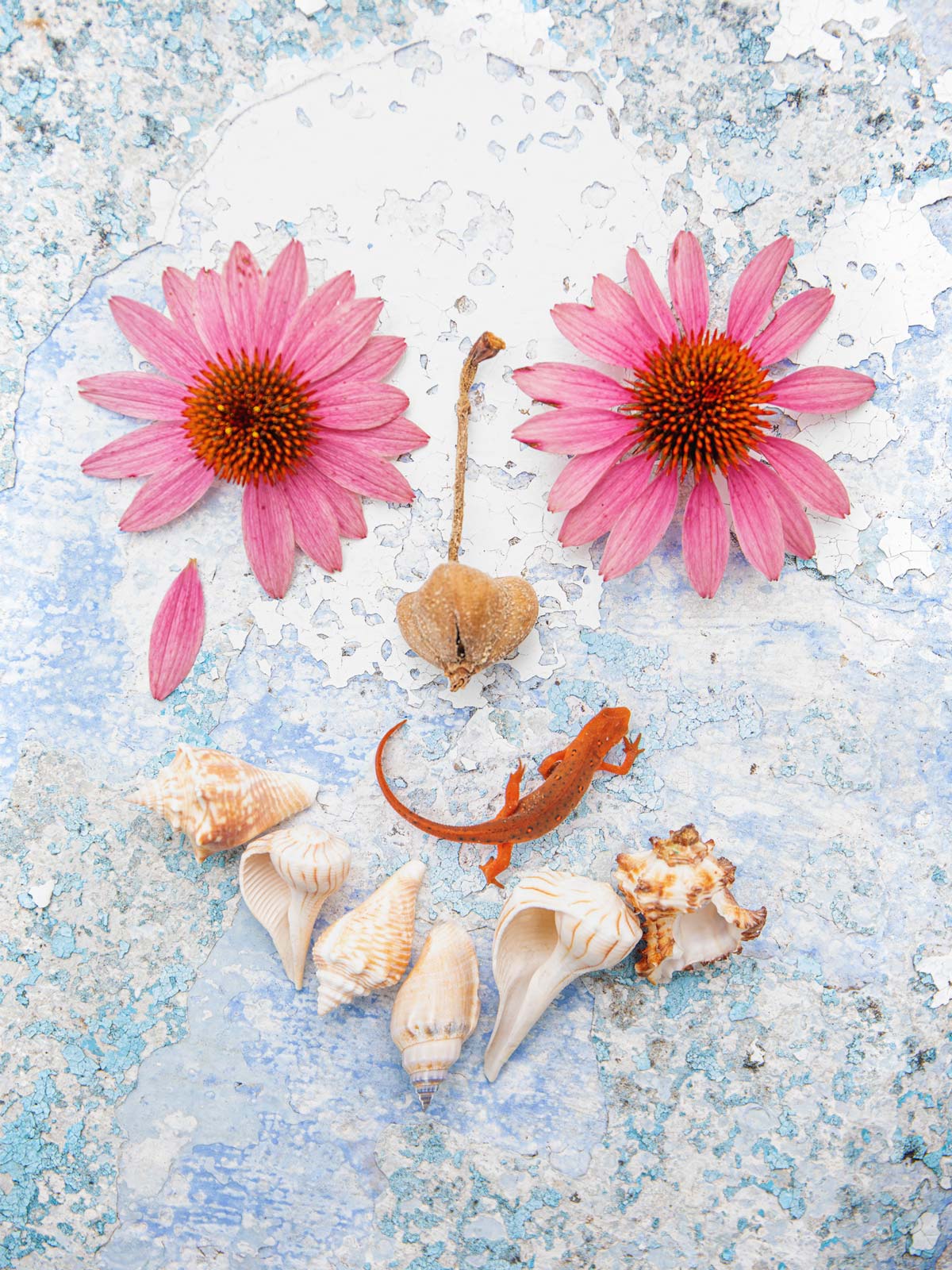 Martine Gutierrez deconstructs the avatar, in conversation with Zackary Drucker