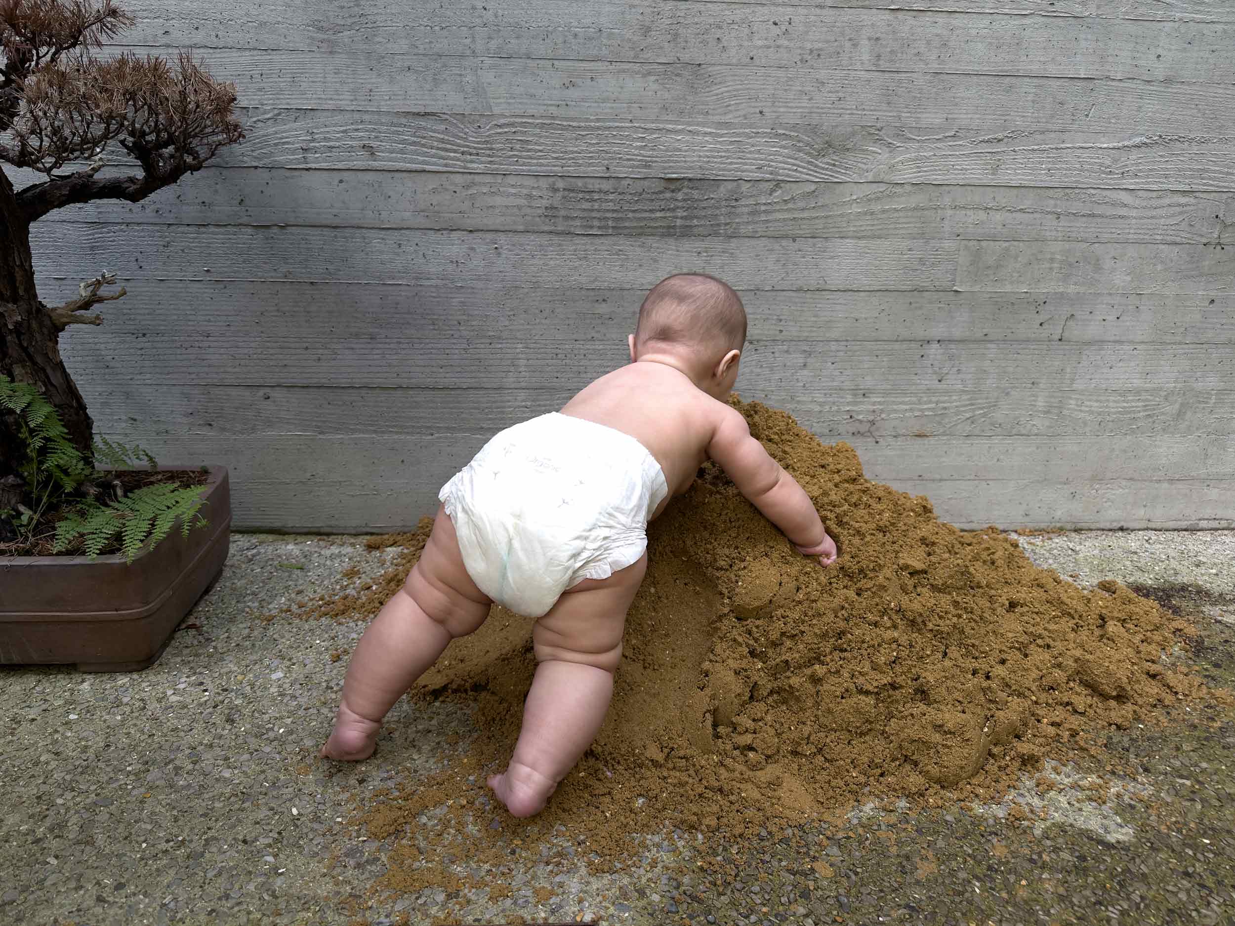 Iggy Teller does Teller