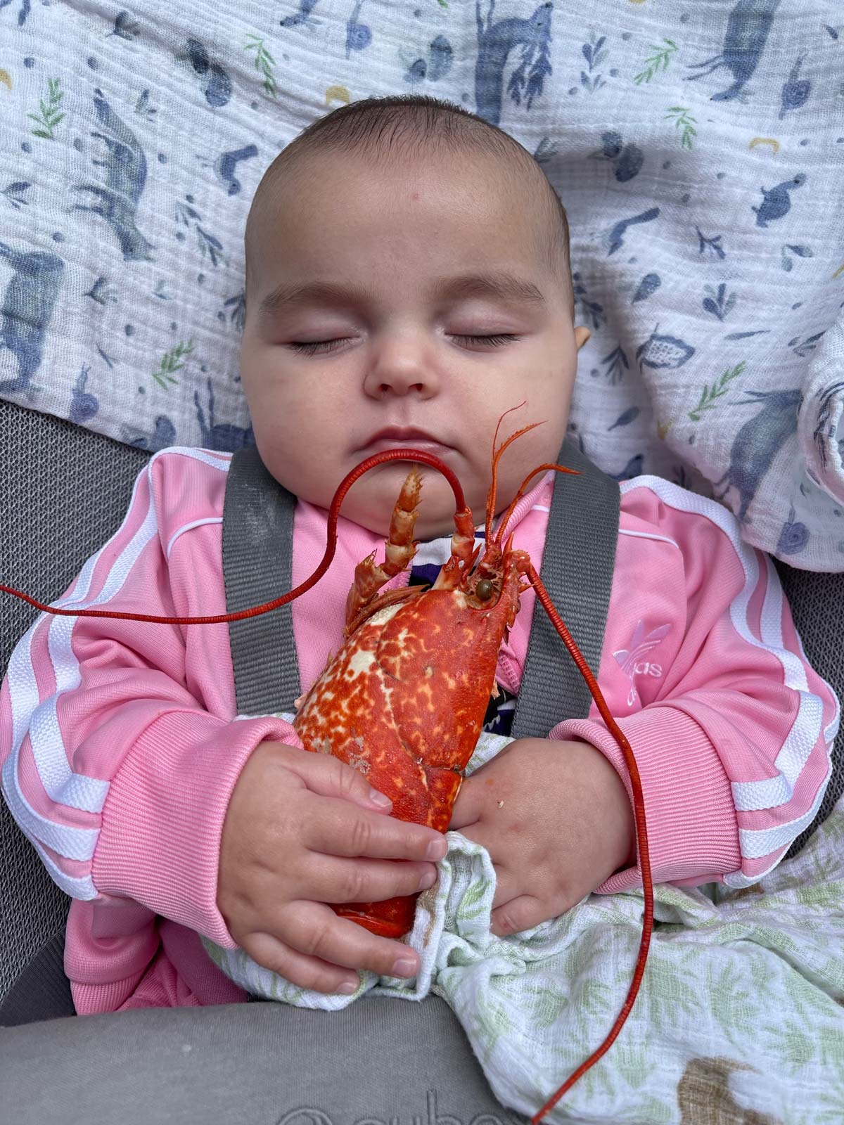 Iggy Teller does Teller