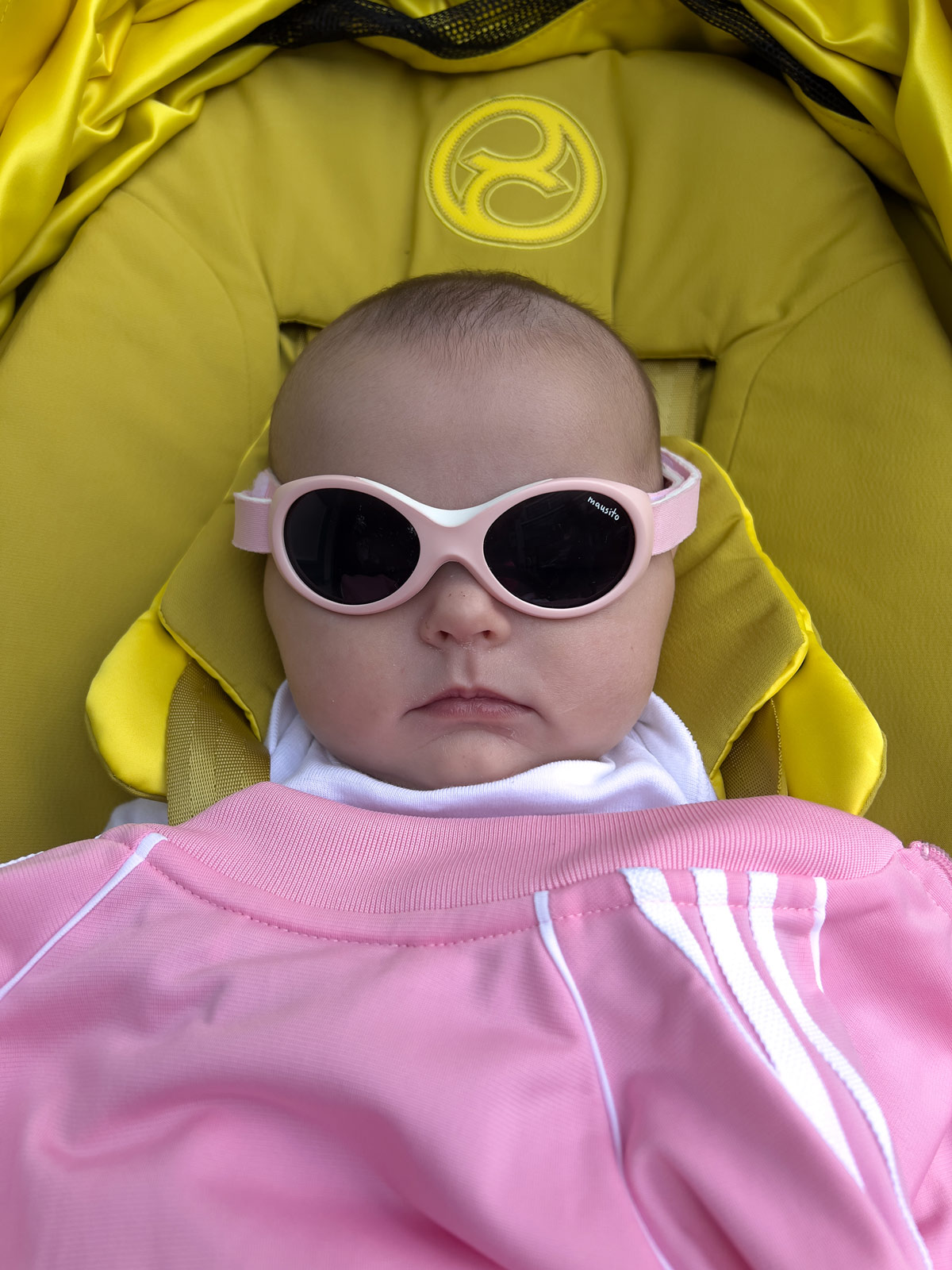 Iggy Teller does Teller