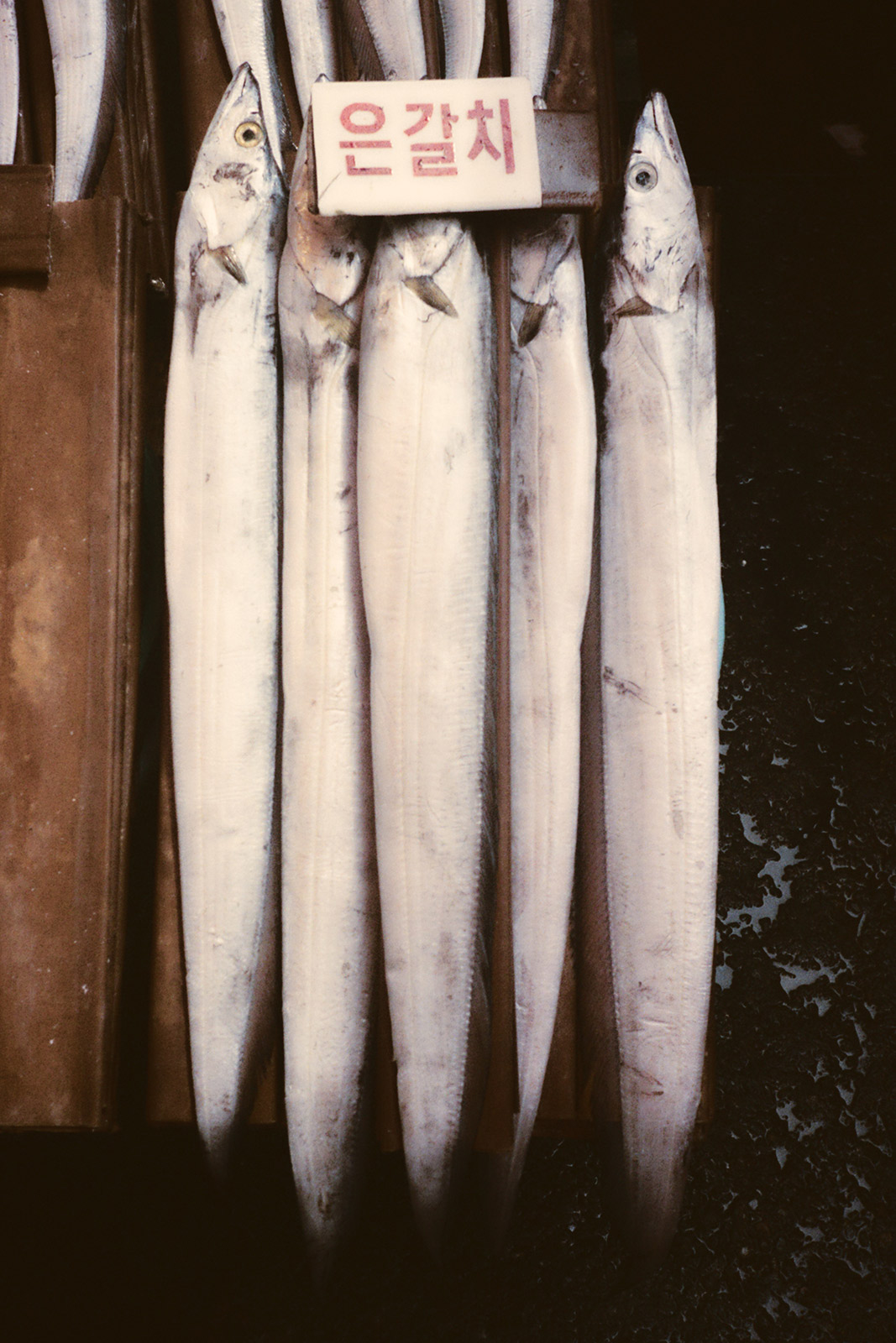 Eduard Sánchez Ribot makes magic of the mundane