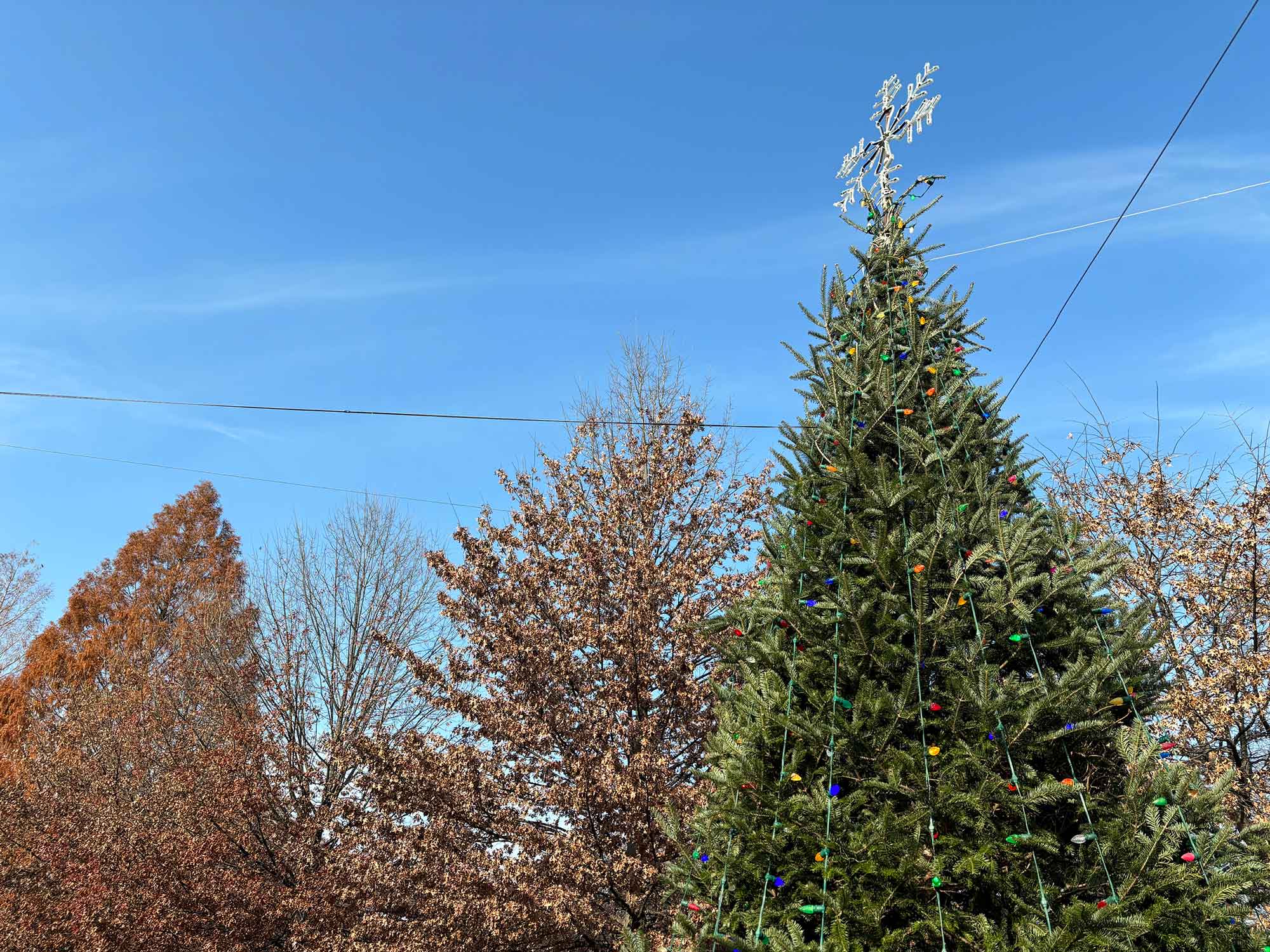 Daytripping: Christmas for pagans