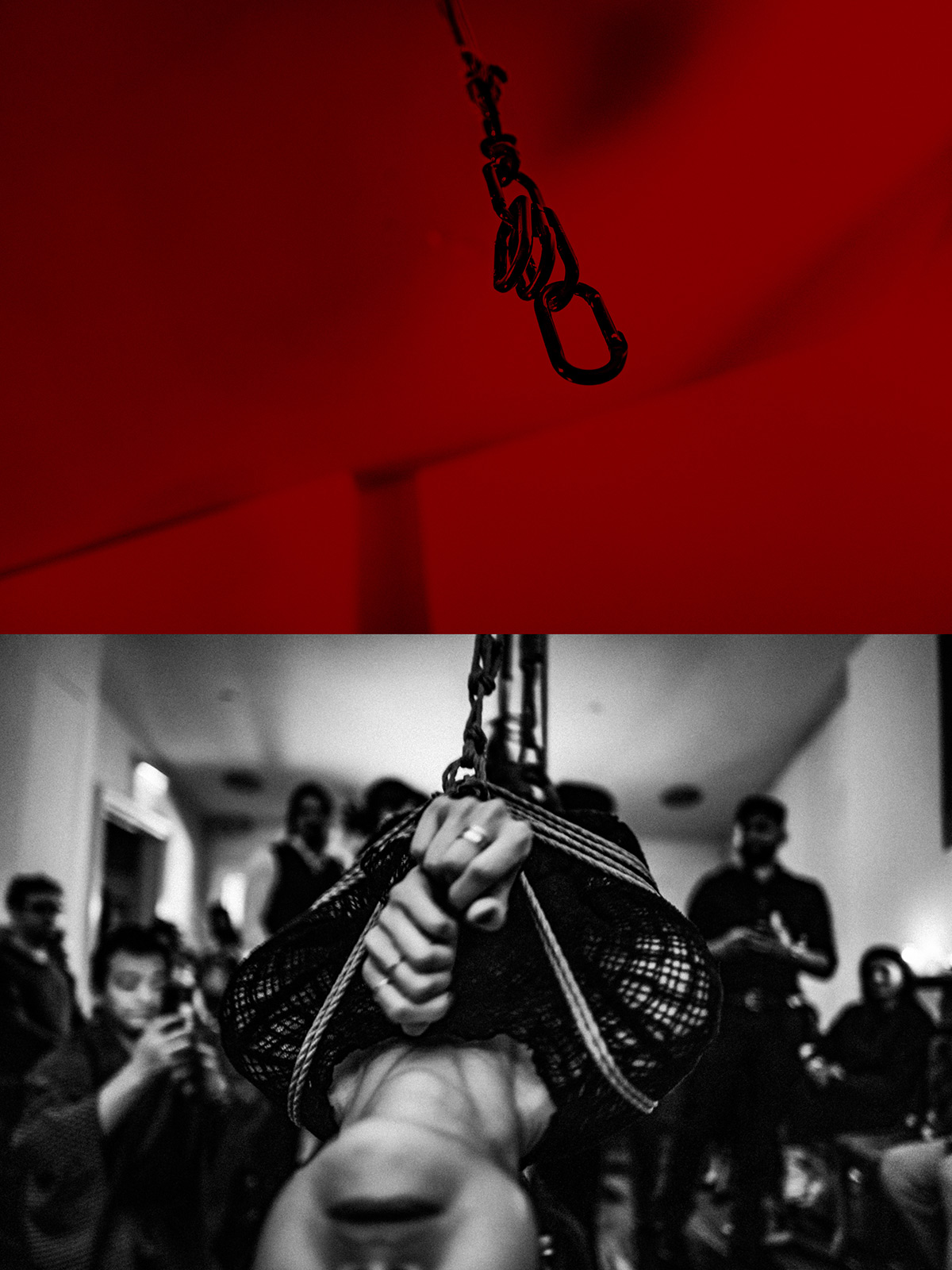 The art of Shibari