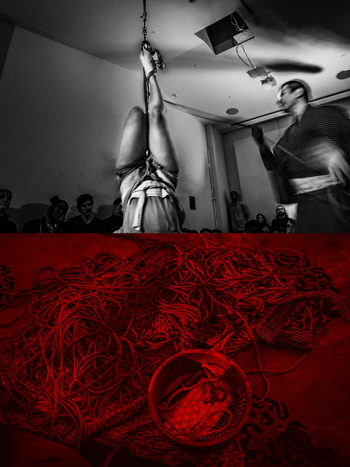 The art of Shibari
