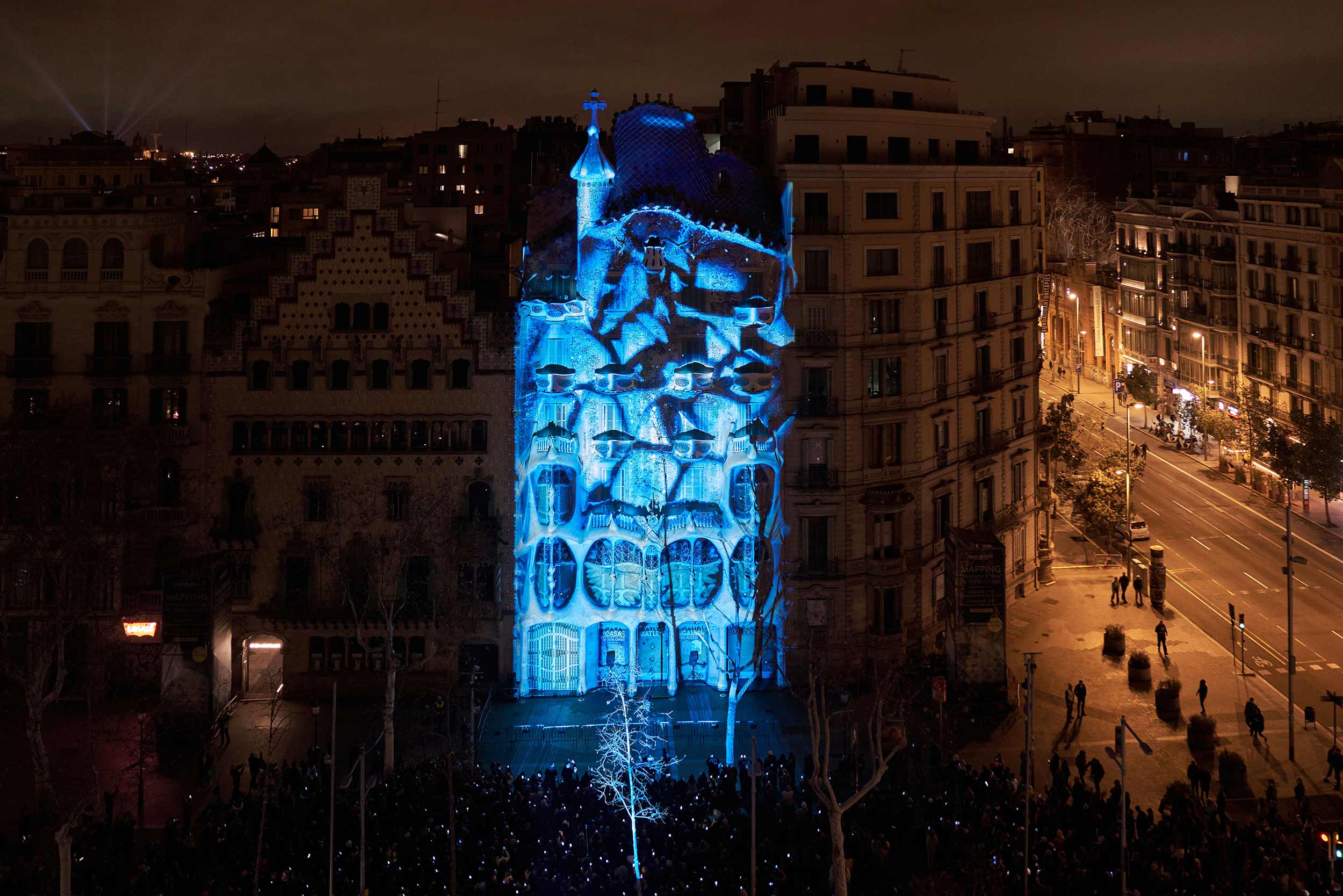 Artist Sofia Crespo’s ‘Structures of Being’ illuminates Barcelona