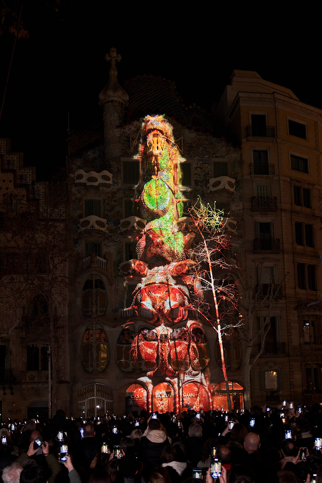 Artist Sofia Crespo’s ‘Structures of Being’ illuminates Barcelona