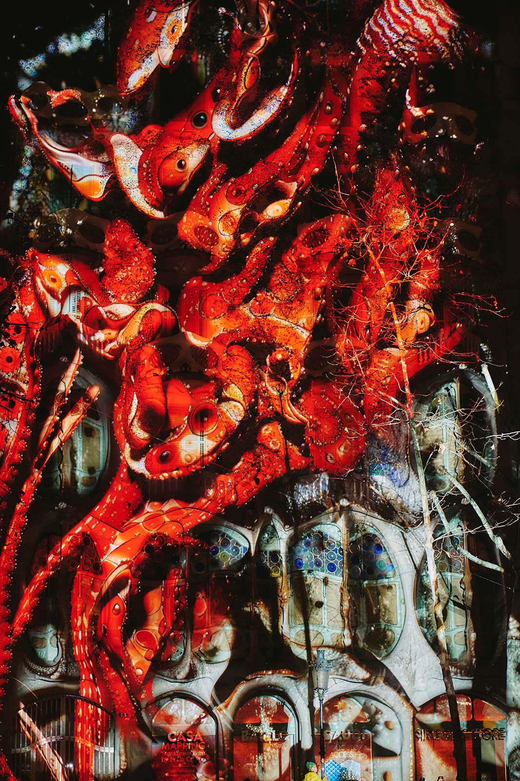 Artist Sofia Crespo’s ‘Structures of Being’ illuminates Barcelona