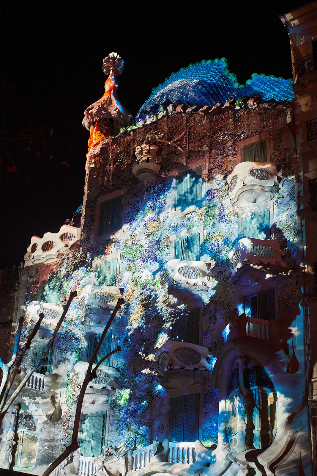 Artist Sofia Crespo’s ‘Structures of Being’ illuminates Barcelona