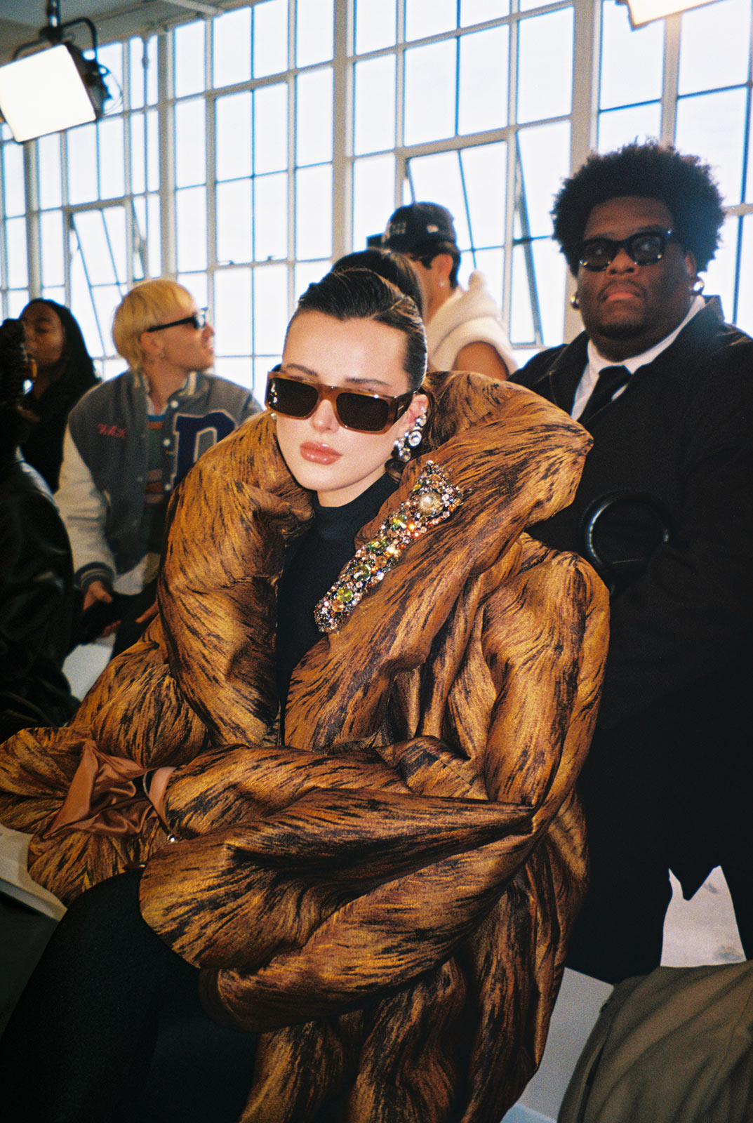 Area’s anatomy of an eye