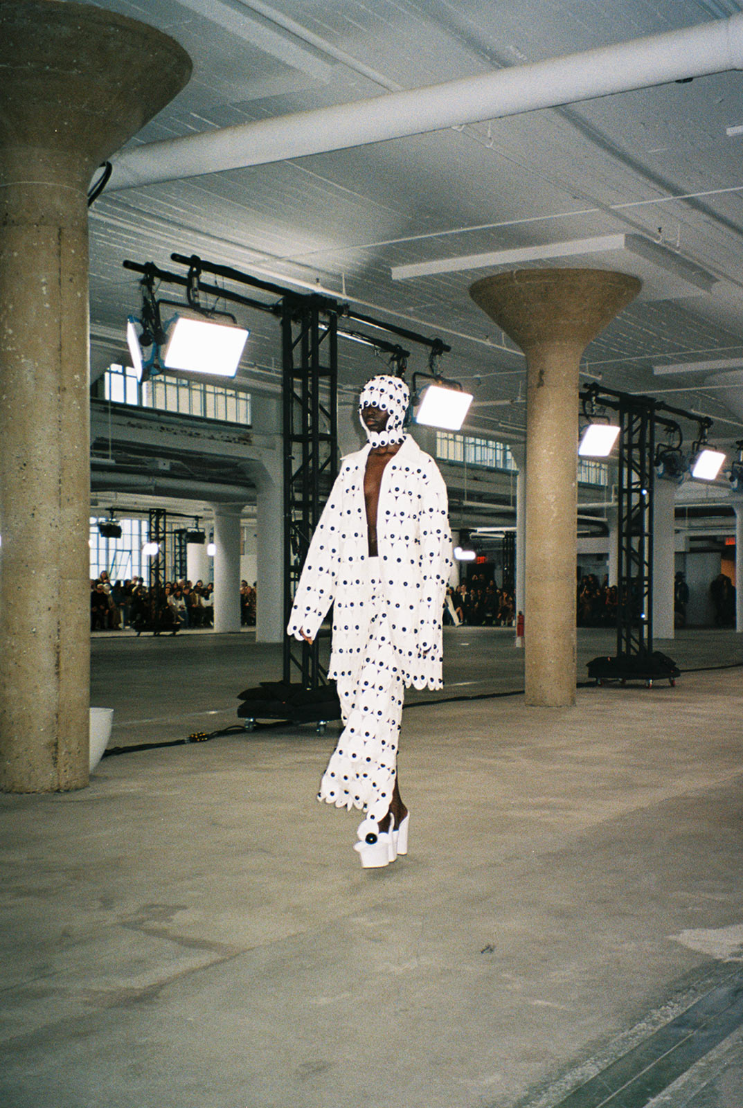 Area’s anatomy of an eye