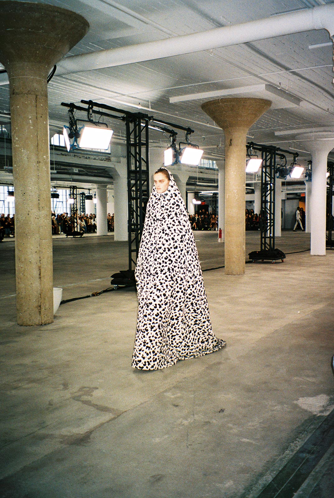 Area’s anatomy of an eye