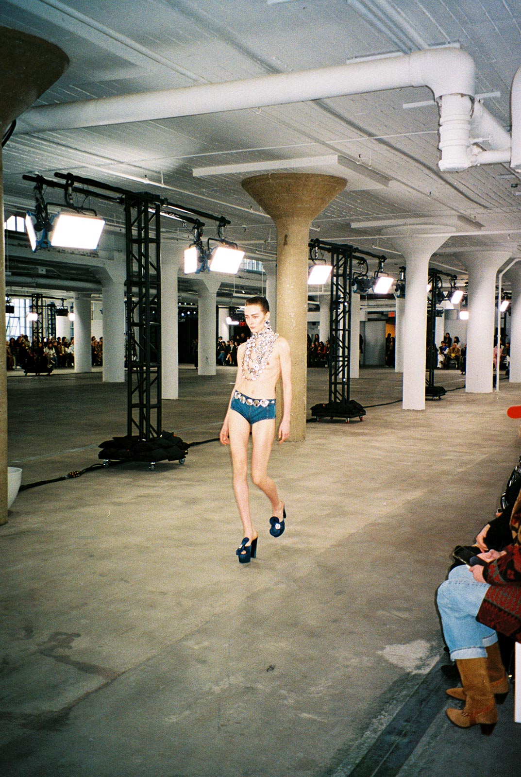 Area’s anatomy of an eye