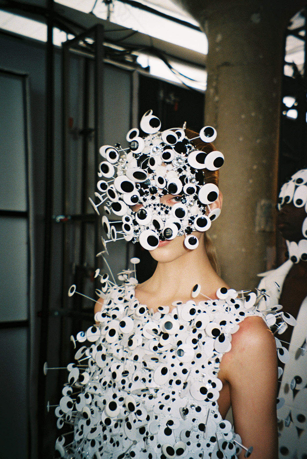 Area’s anatomy of an eye