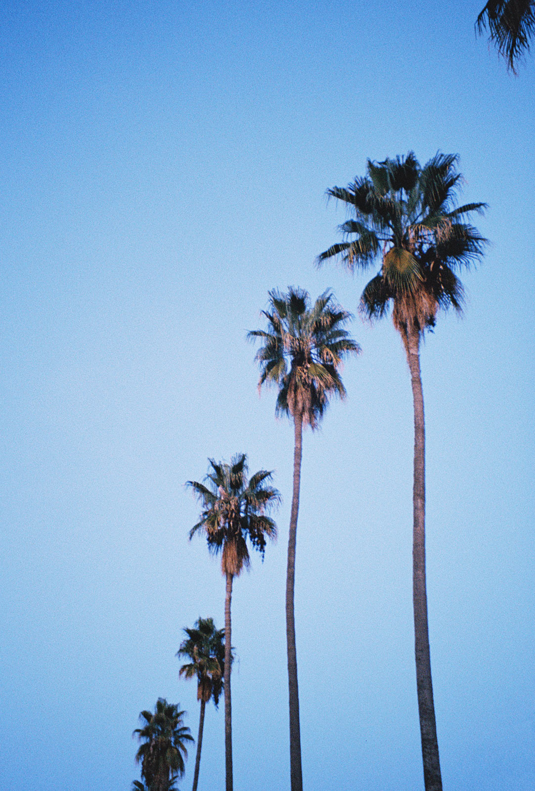 Pol of Paris: fashion by day, erotic illustration by night