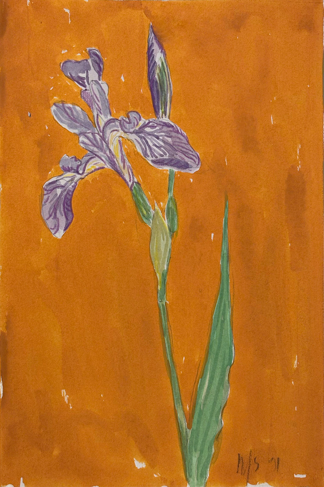 Illuminations by the roadside: Russell Sharon’s watercolor ‘Wildflowers’