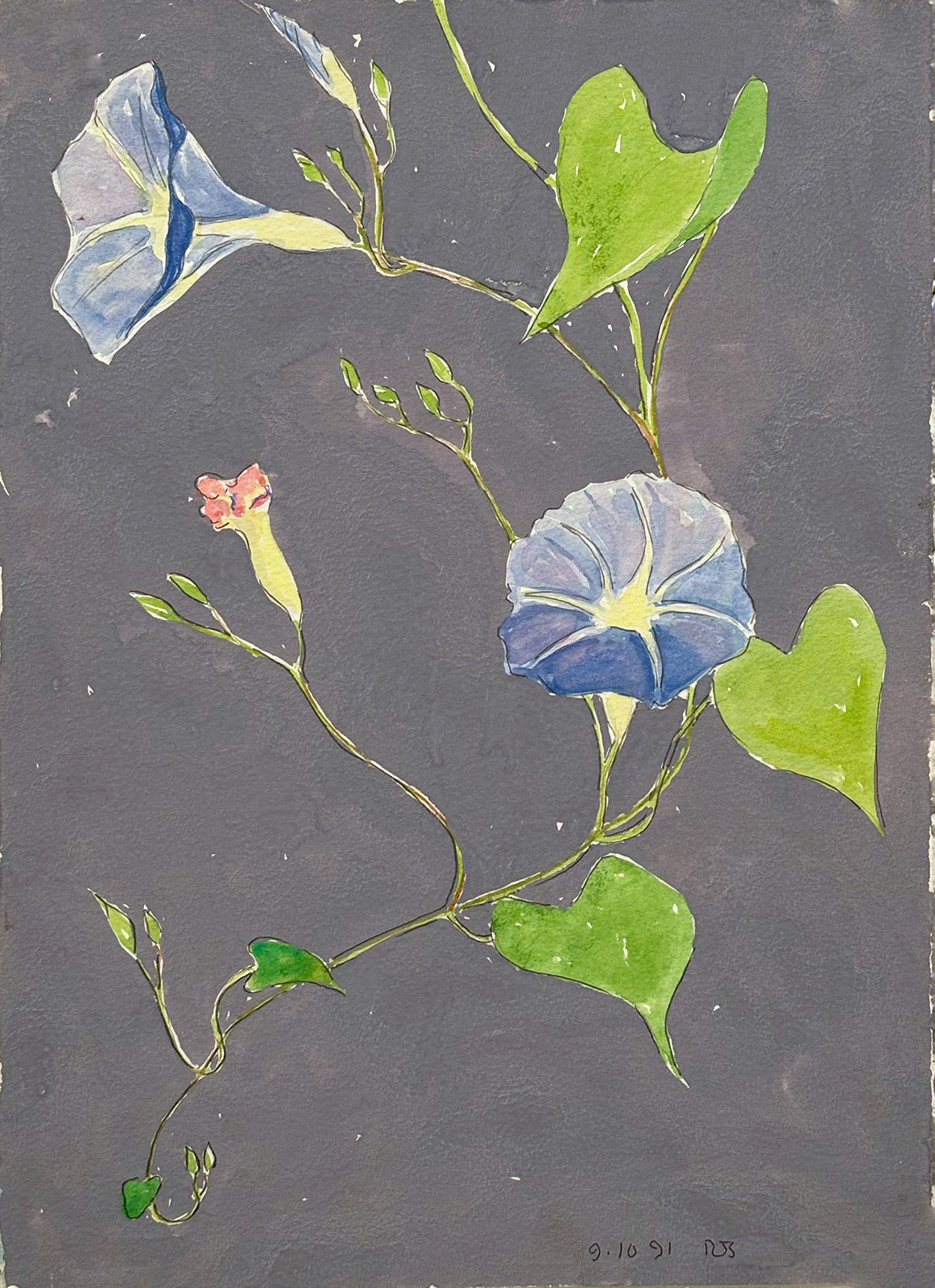 Illuminations by the roadside: Russell Sharon’s watercolor ‘Wildflowers’