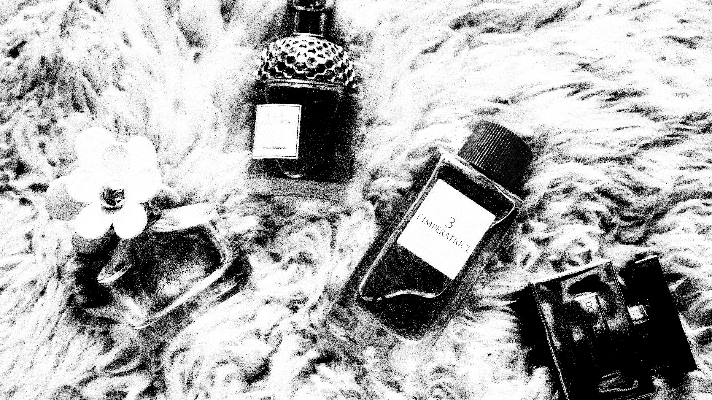 The Shoptimist: the olfactory side of high fashion