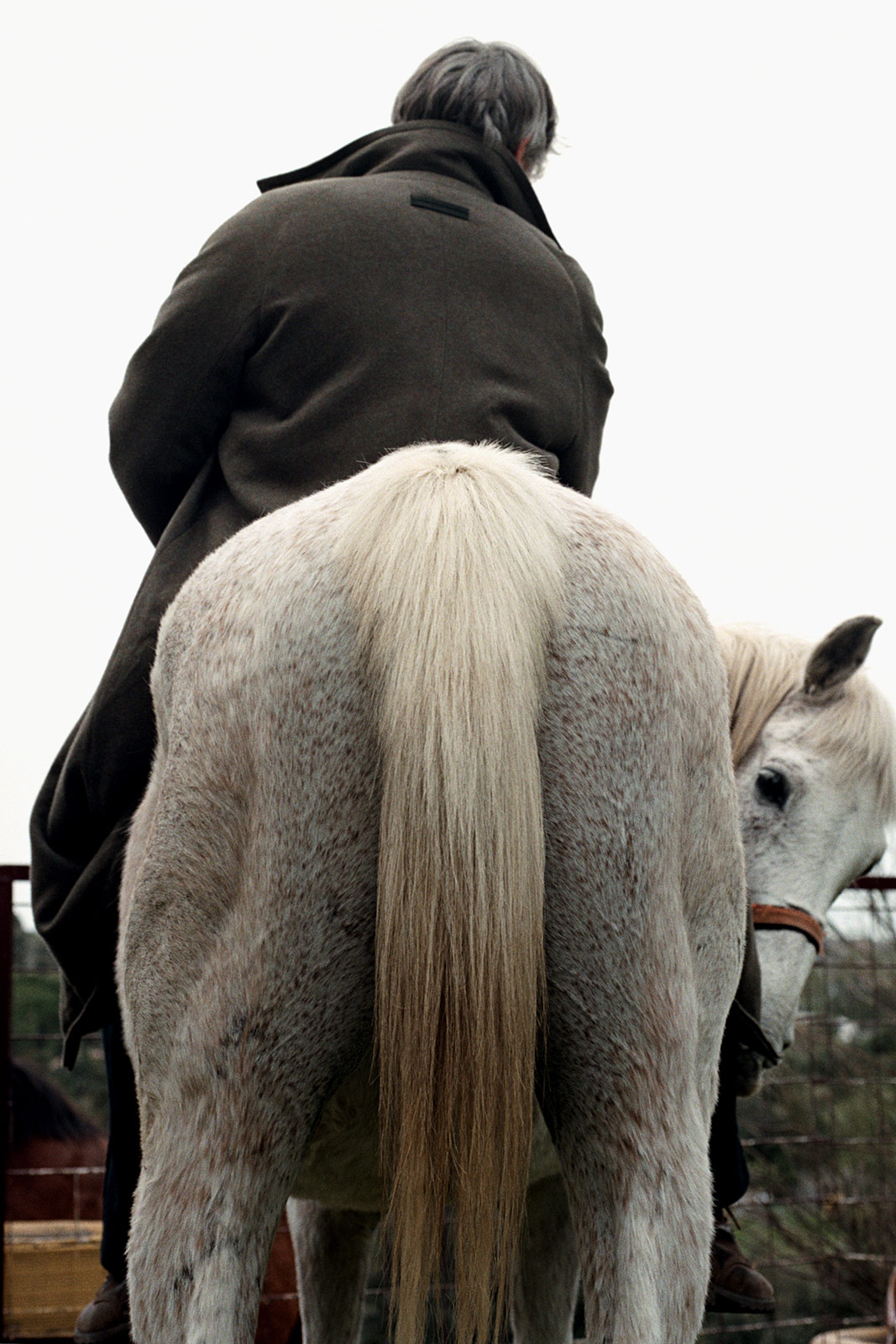 Viggo Mortensen and Ron Howard see storytelling as an act of collaboration