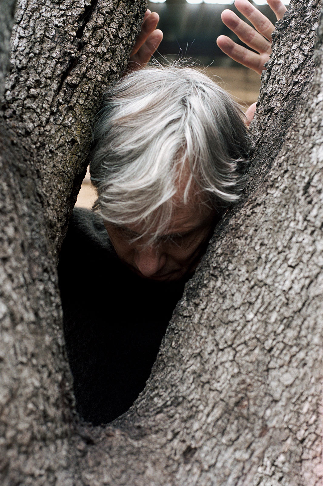 Viggo Mortensen and Ron Howard see storytelling as an act of collaboration