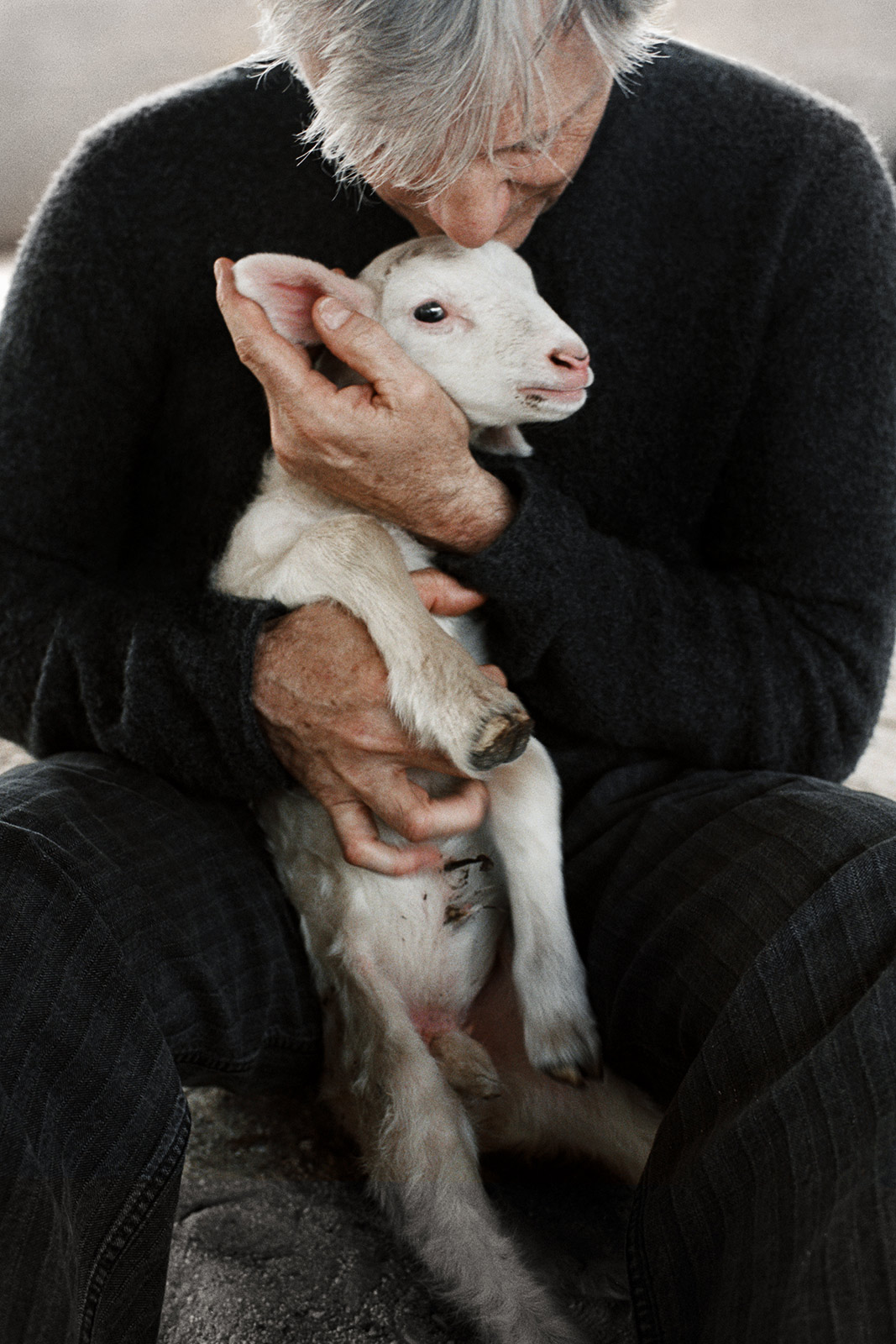 Viggo Mortensen and Ron Howard see storytelling as an act of collaboration