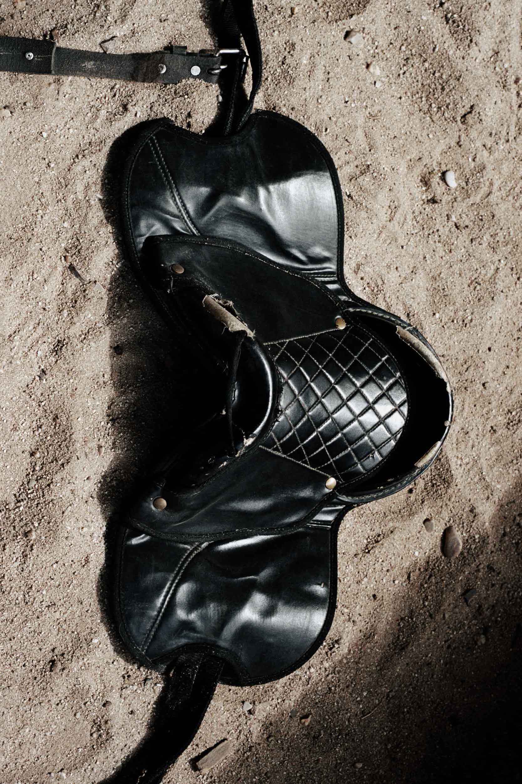 Viggo Mortensen and Ron Howard see storytelling as an act of collaboration