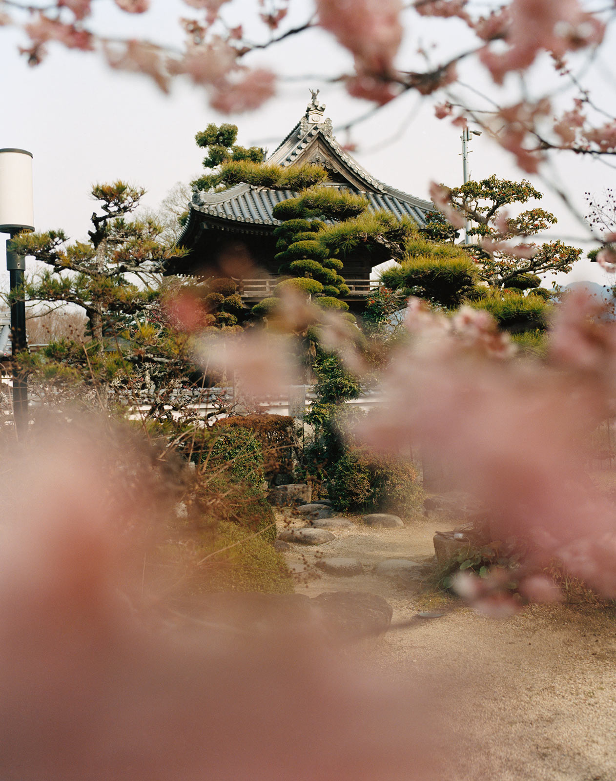 Rituals and origin stories across Japan’s southern islands