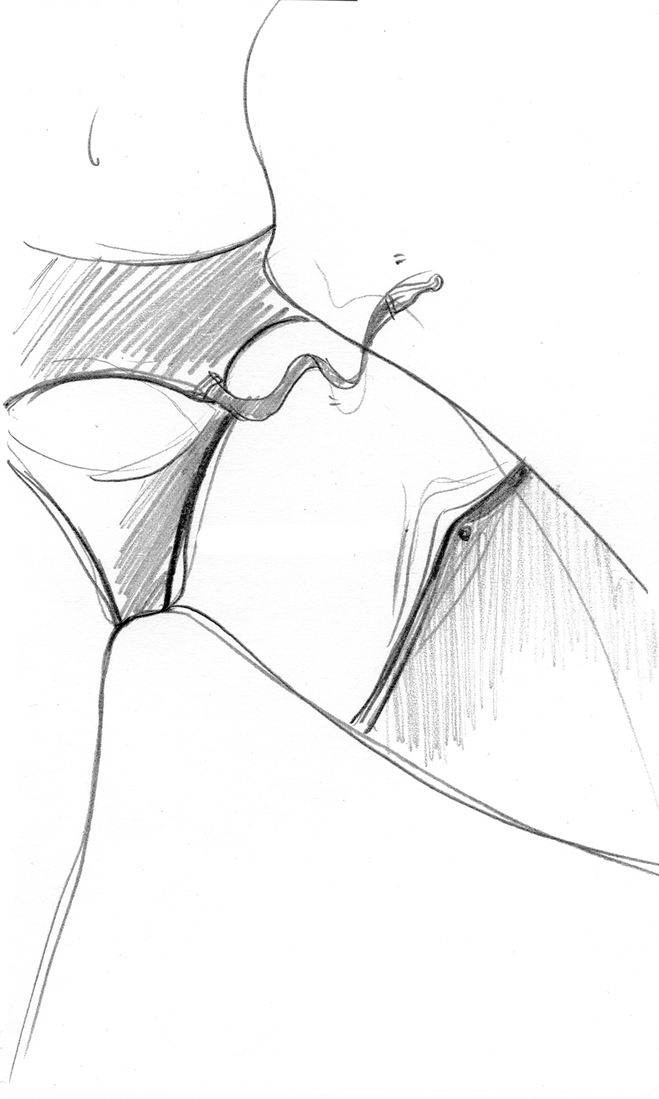 Confronting emerging mythologies from the striptease to gang wars to ‘The Sims’