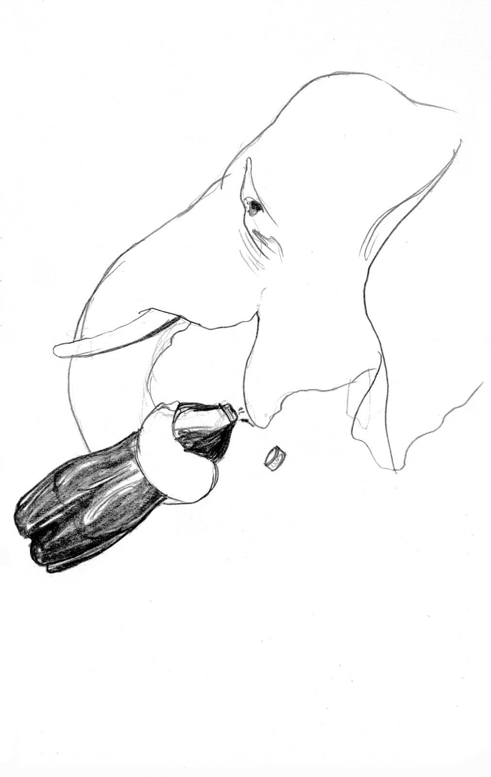 Confronting emerging mythologies from the striptease to gang wars to ‘The Sims’