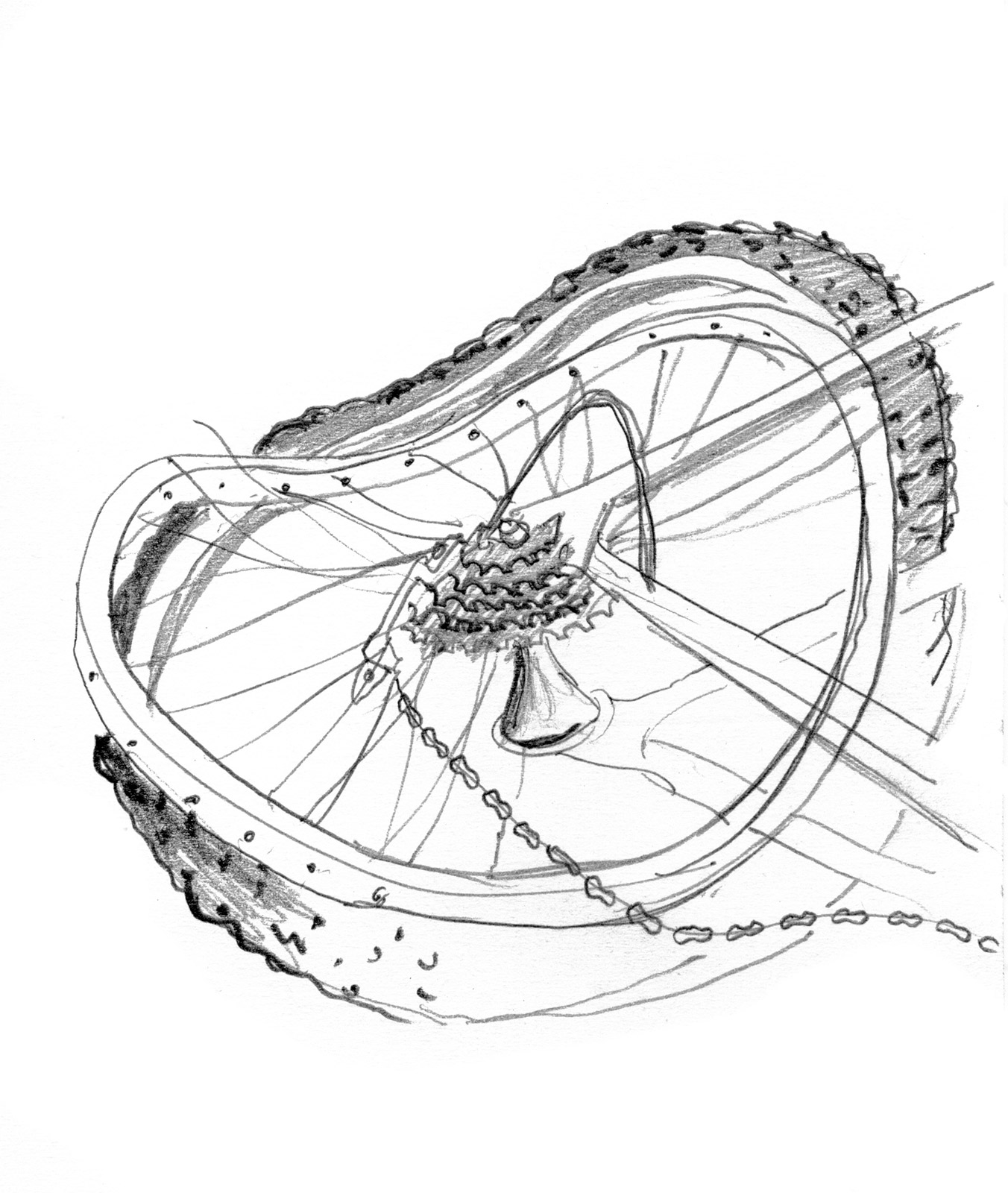 Confronting emerging mythologies from the striptease to gang wars to ‘The Sims’