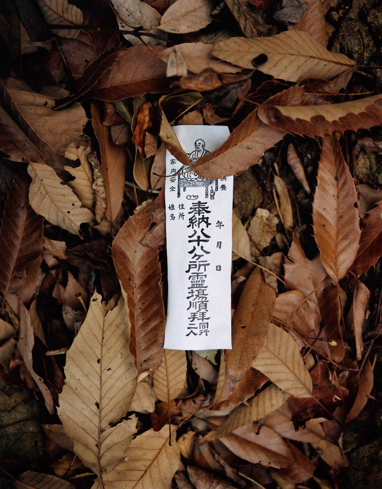 Rituals and origin stories across Japan’s southern islands