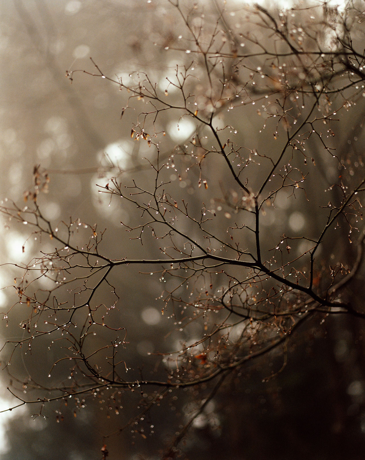 Rituals and origin stories across Japan’s southern islands