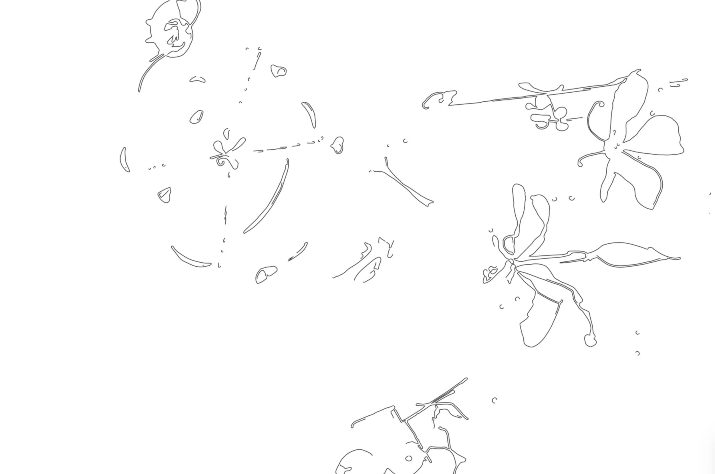 Fine Print: Poetry by any means necessary