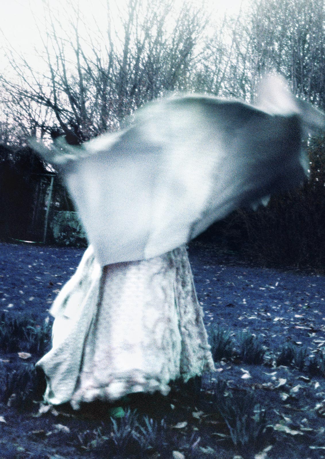 Is a socialite just a scammer who succeeded?