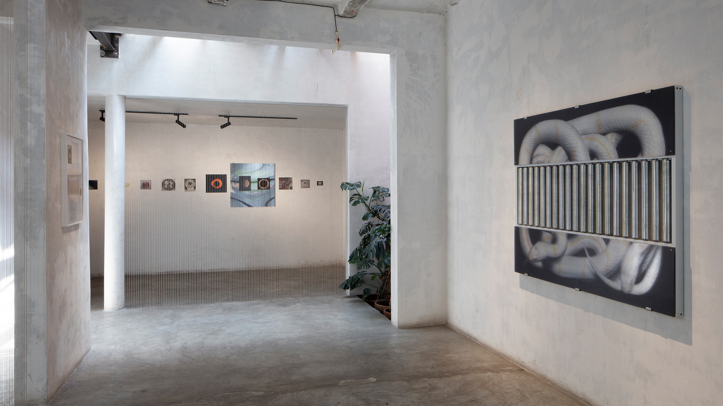 Enrique Garcia exposes the serpentine mechanics of contemporary life