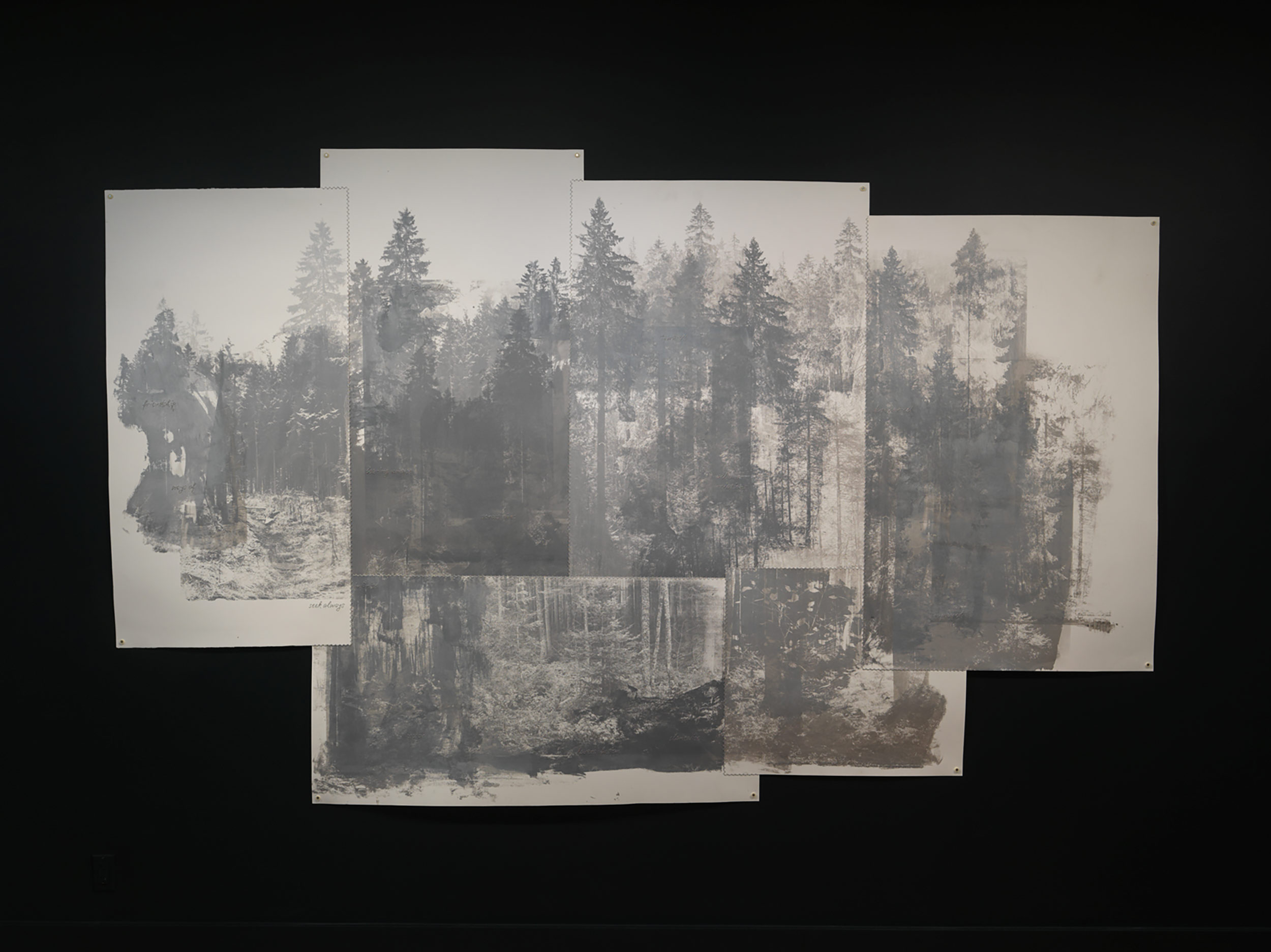 In Andrea Geyer’s ‘a promise of lightning,’ the natural is inherently political