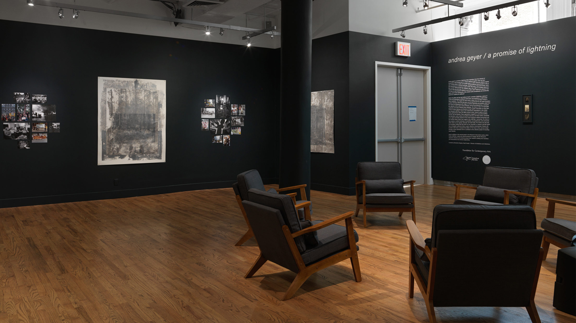 In Andrea Geyer’s ‘a promise of lightning,’ the natural is inherently political