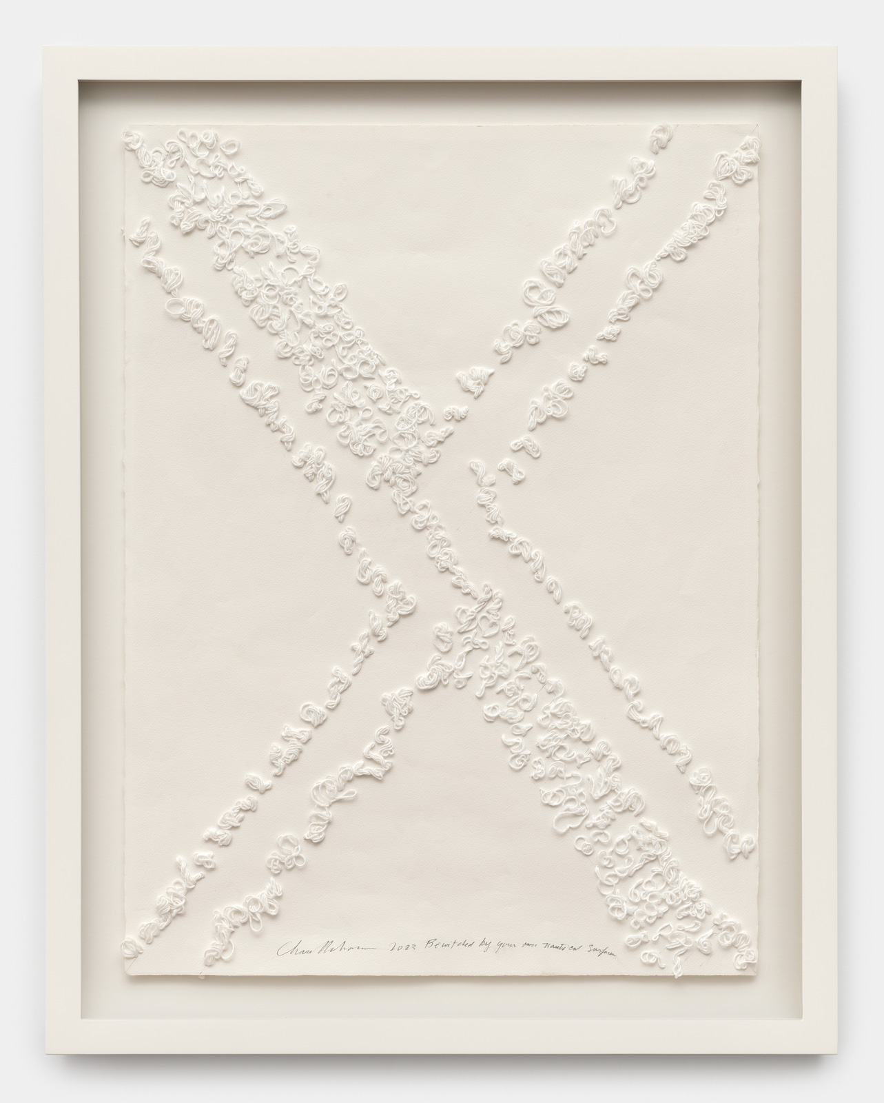 The lyric monuments of Barbara Chase-Riboud